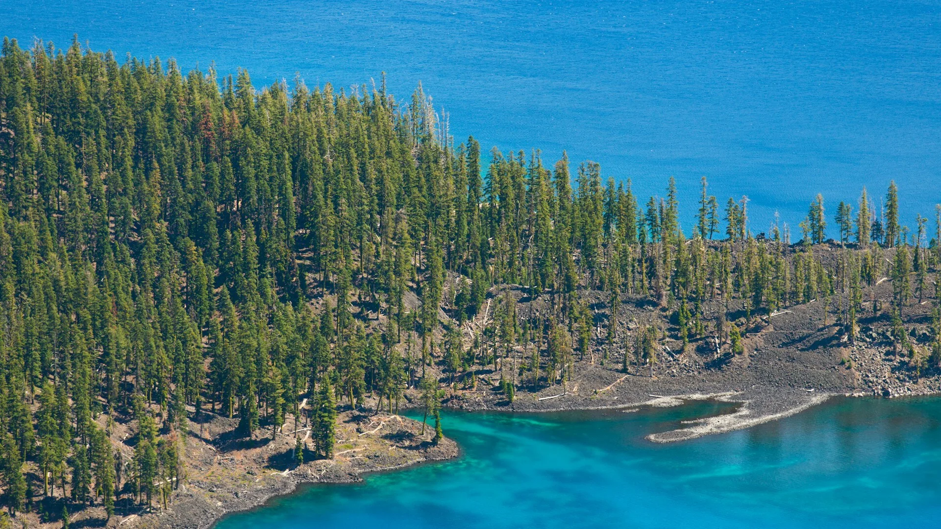 Uitzicht over het helderblauwe water van Crater Lake in Oregon