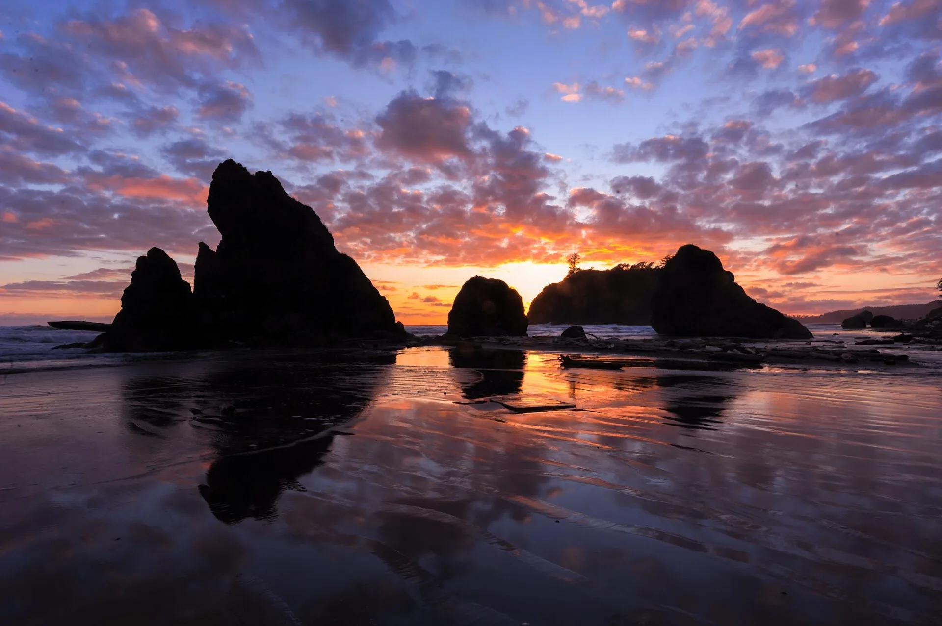 De kust tijdens een zonsondergang in het Olympic National Park in Washington State