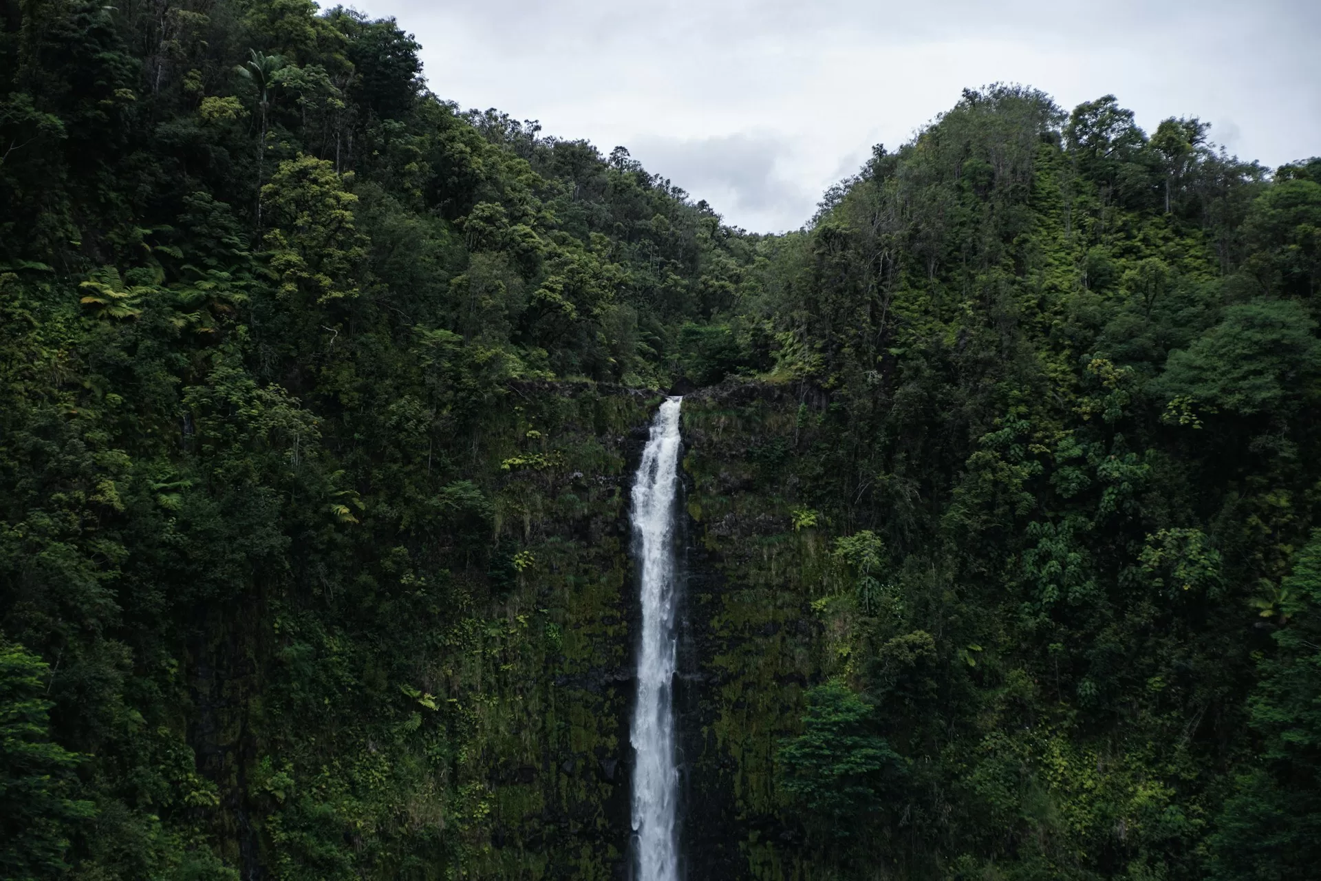 Akaka Falls waterval op Hawaï op een bewolkte dag, omringd door weelderige tropische begroeiing