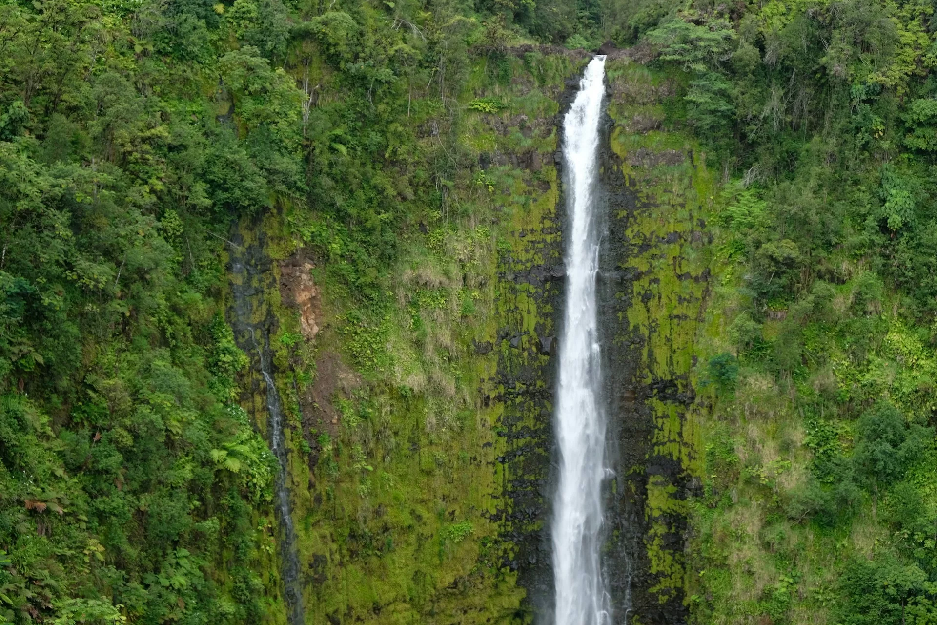 Waterval sightseeing tour in Volcanoes National Park Big Island Hawaii