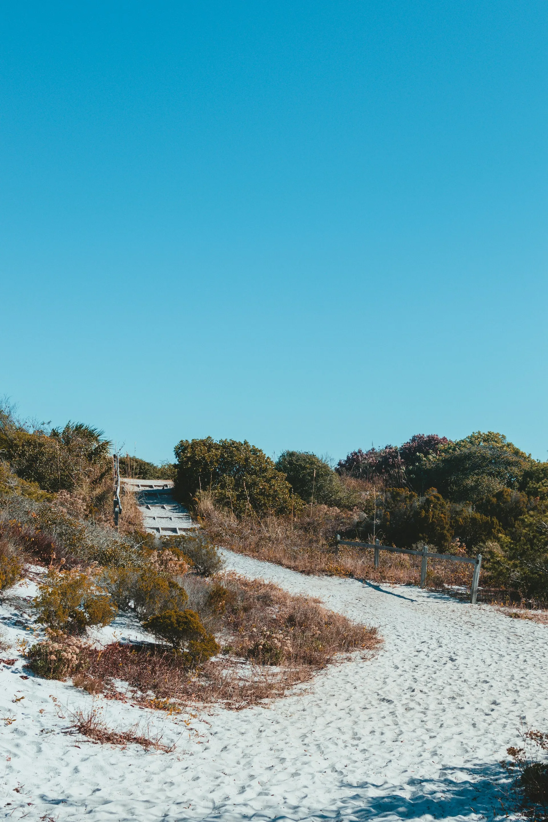 Het strand en de duinen in Destin, Florida