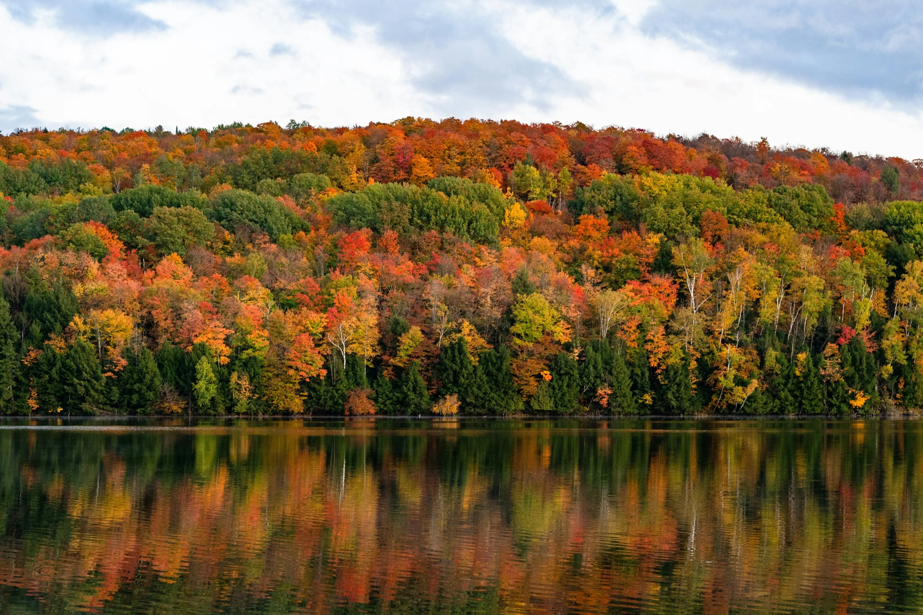 Gekleurde bomen in Rutland, Vermont