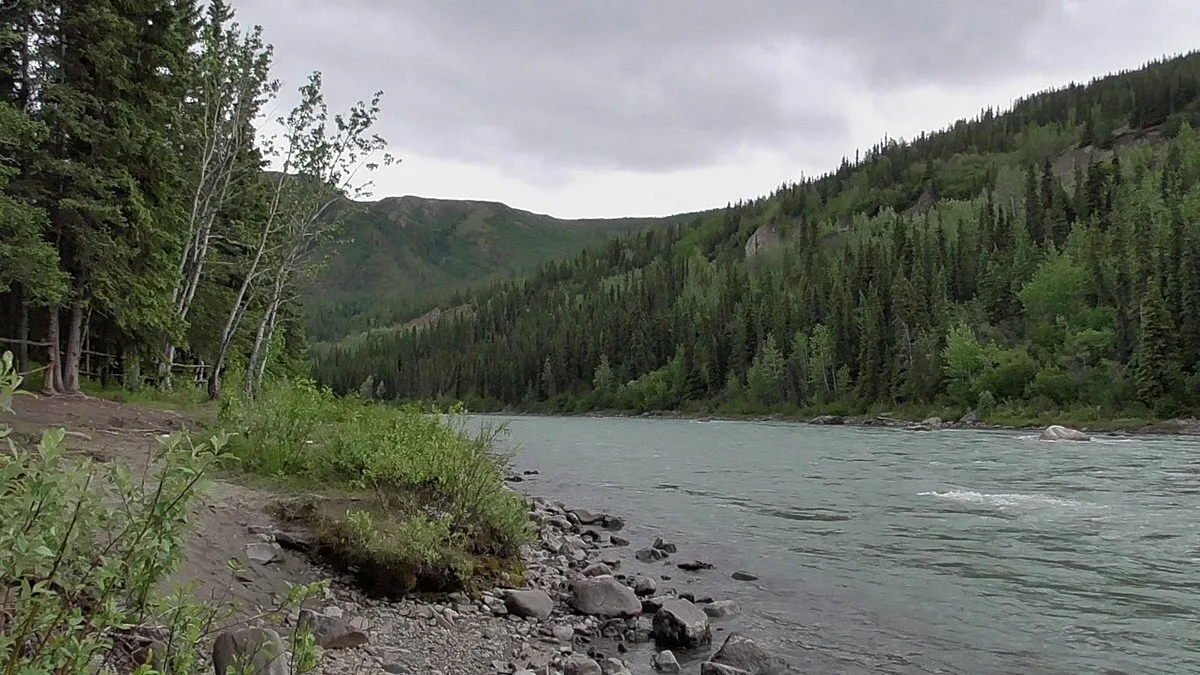 Een rivier tussen de bossen in de buurt van het Hotel Grizzly Bear Resort