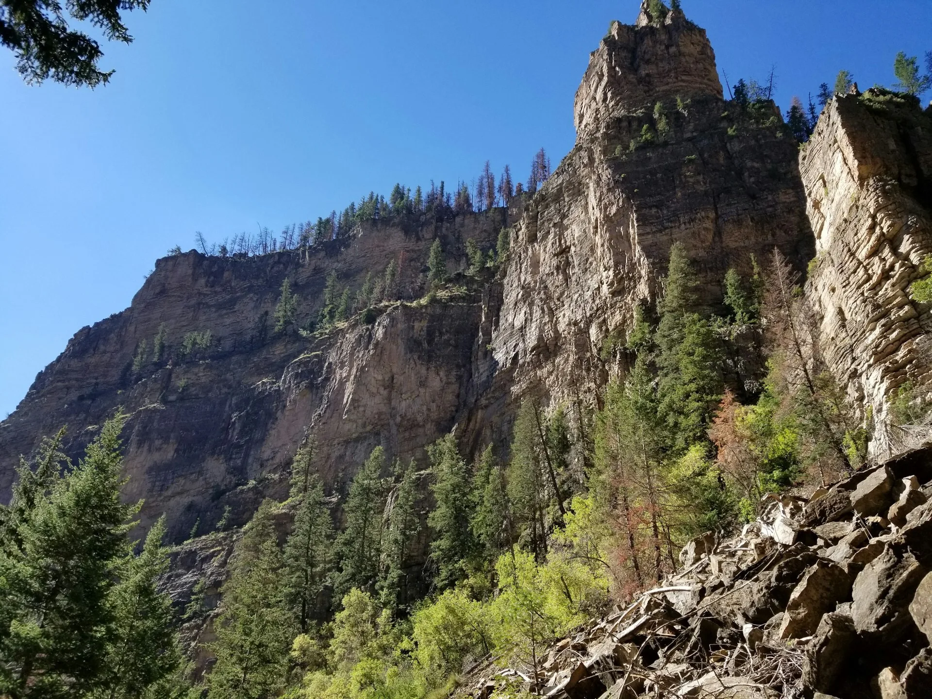 Rotspartijen met bomen in Glenwood Springs Colorado
