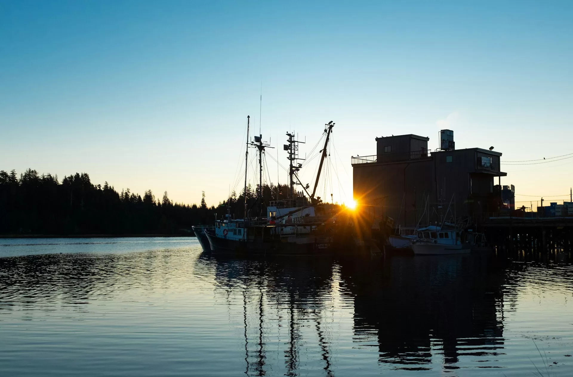 Boten in de haven van Ucluelet in British Columbia
