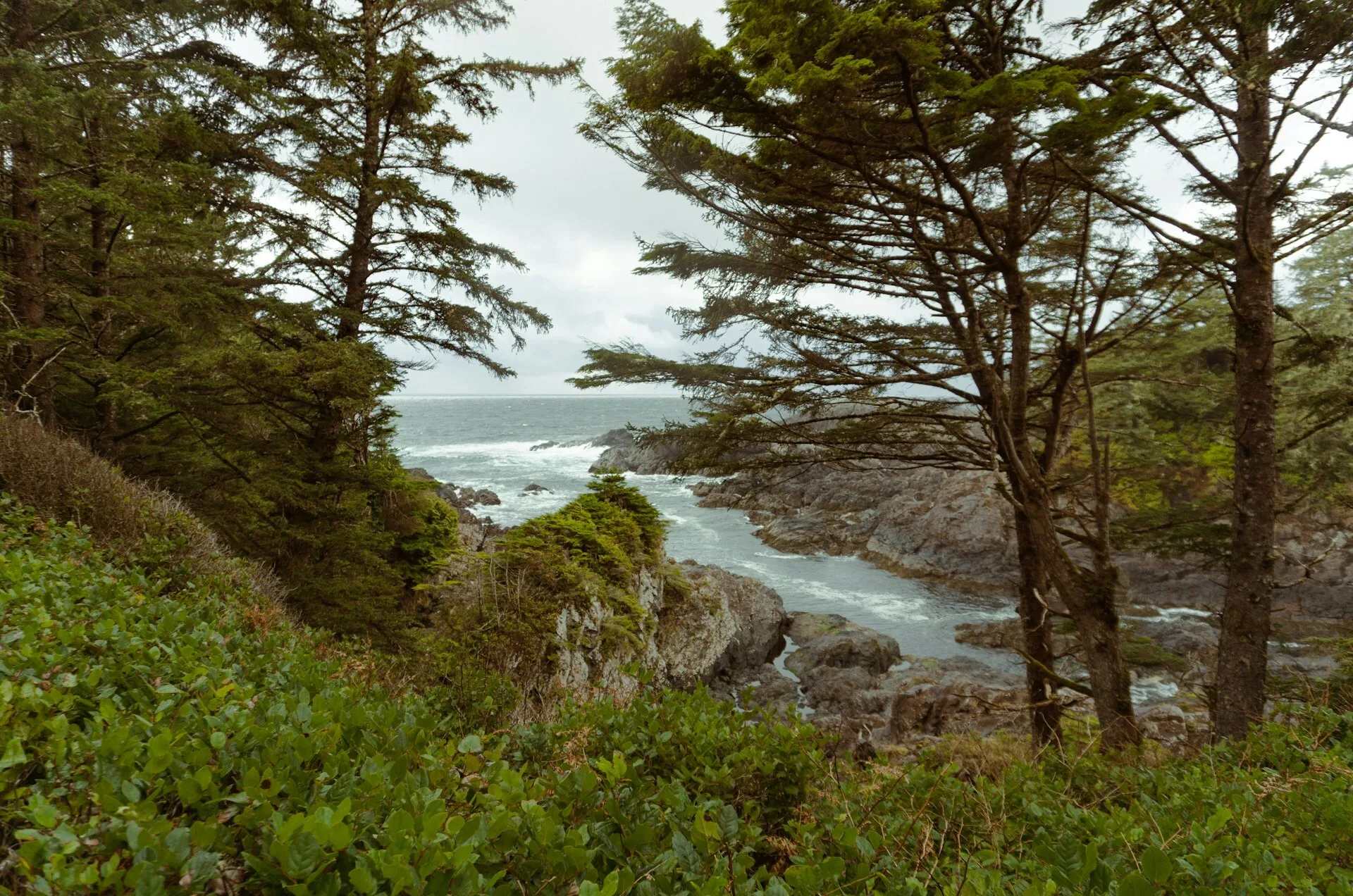 Een rivierstroom door de rotsen en bomen in Ucluelet