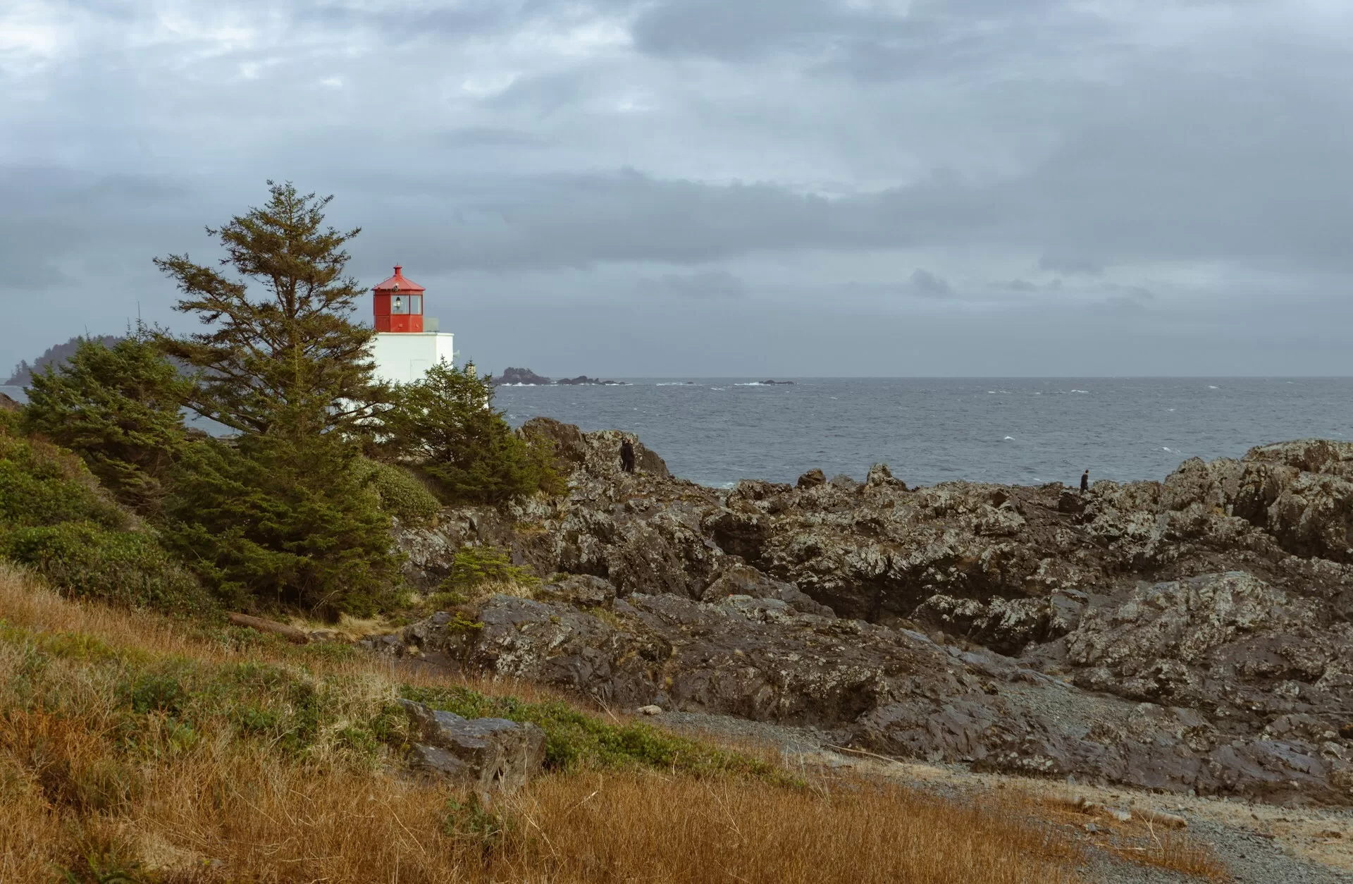 Rotsen aan het water in Ucluelet met een vuurtoren op de achtergrond