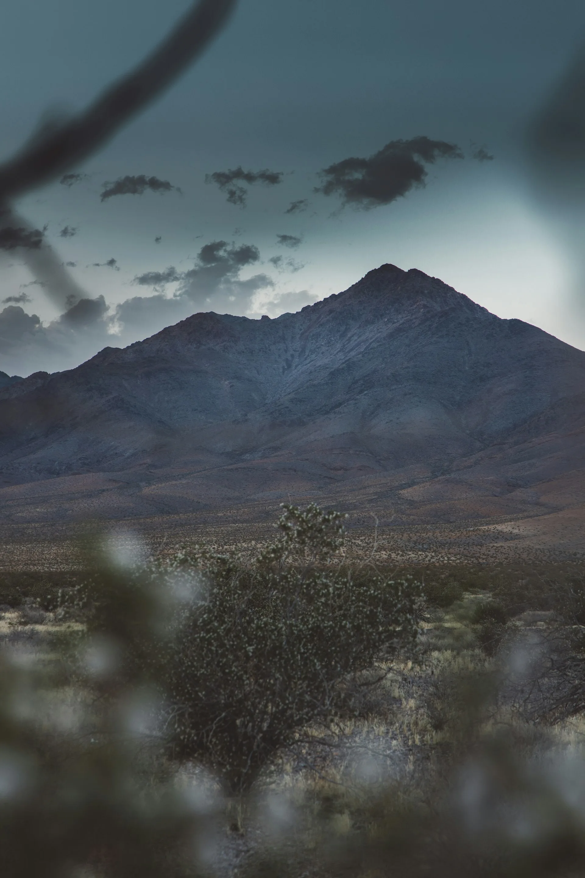 Bergen in Beatty, Nevada