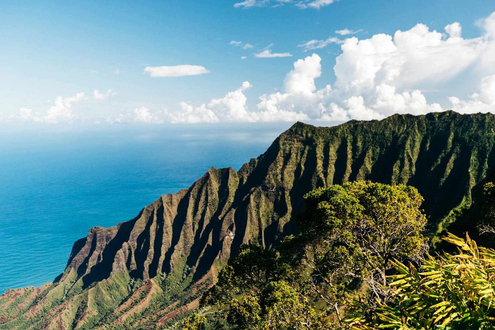 Uitzicht vanaf de Kalalau Trail op het groene landschap van Kauai met de Pacific op de achtergrond