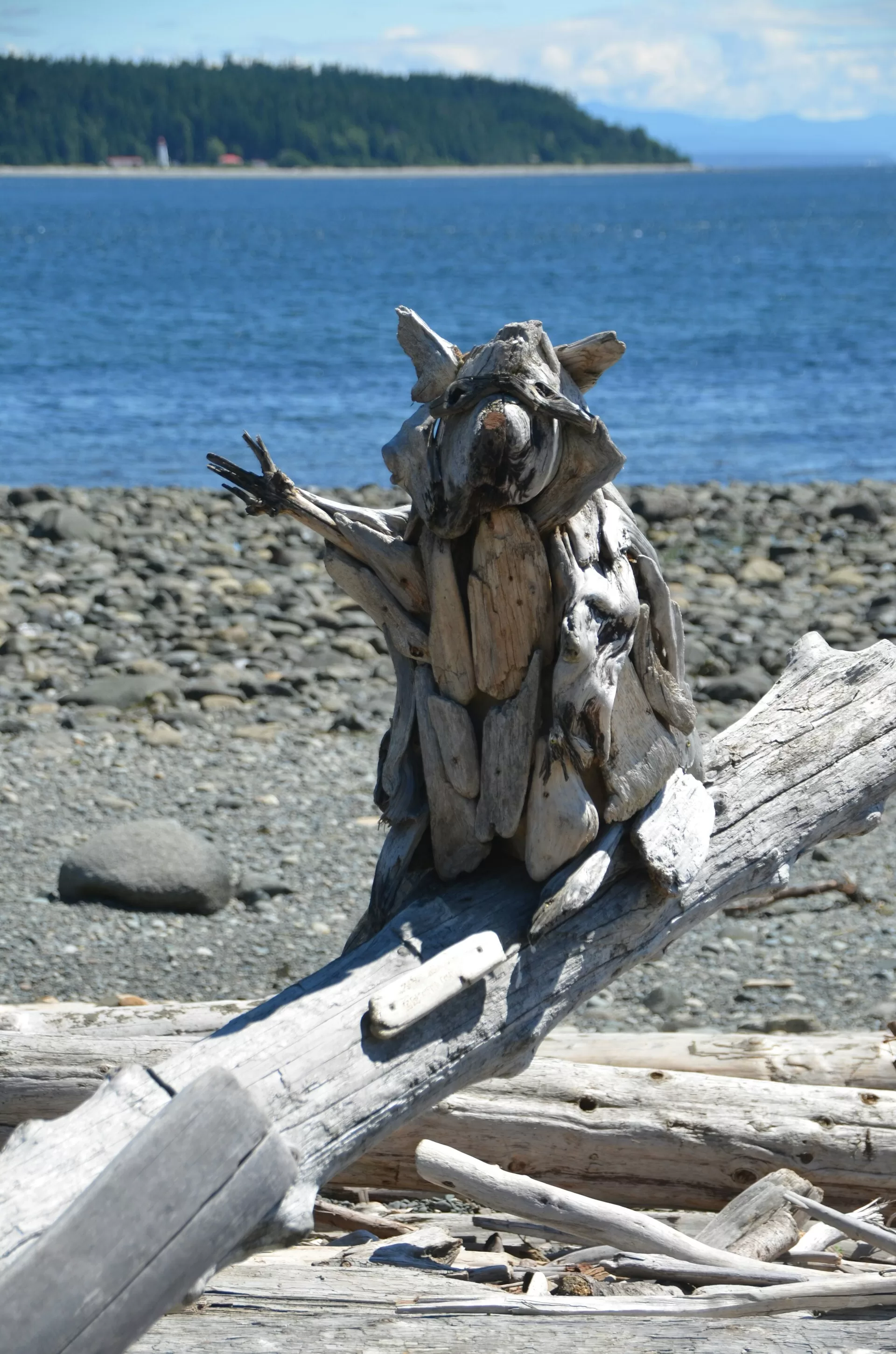 Wasbeerkunst in Campbell River, British Columbia