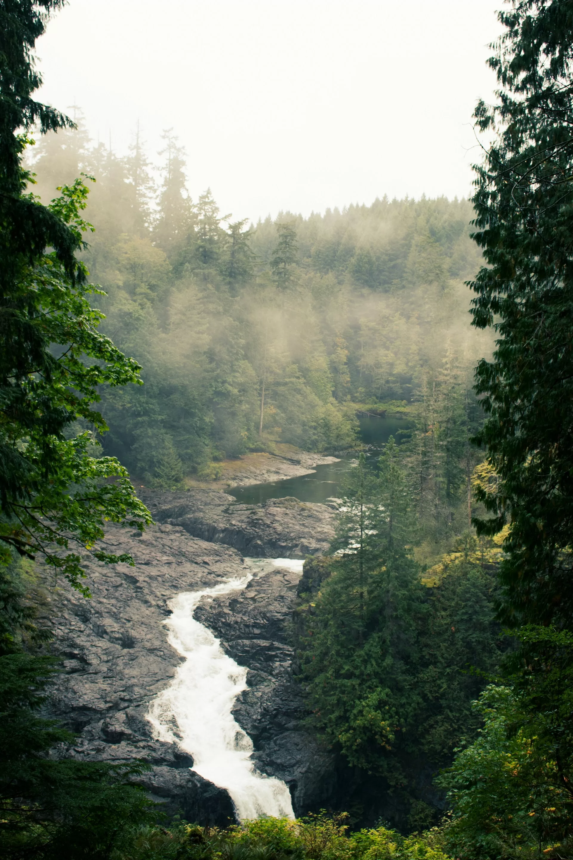 Stromende rivier door Campbell River, British Columbia