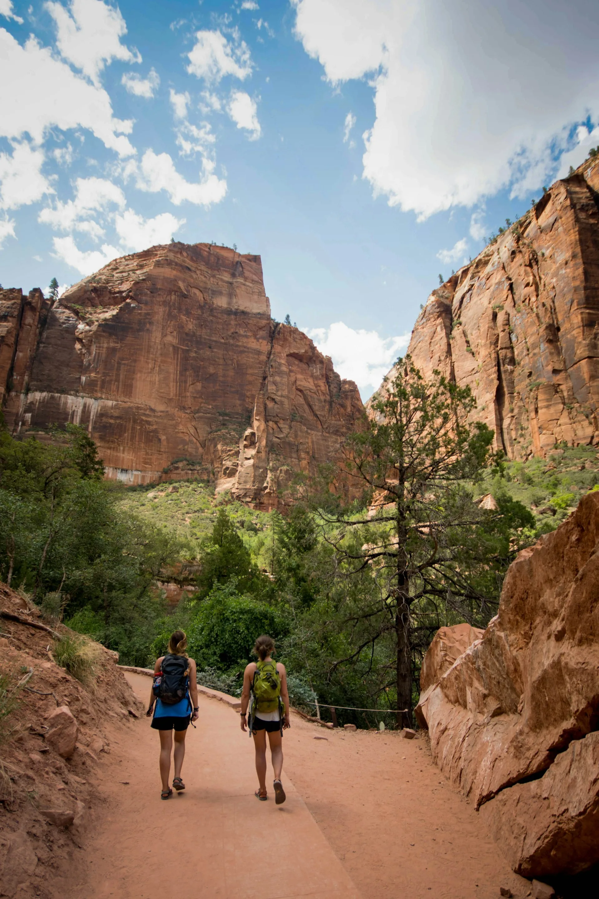 Wandelen door de rotsformaties van Zion National Park