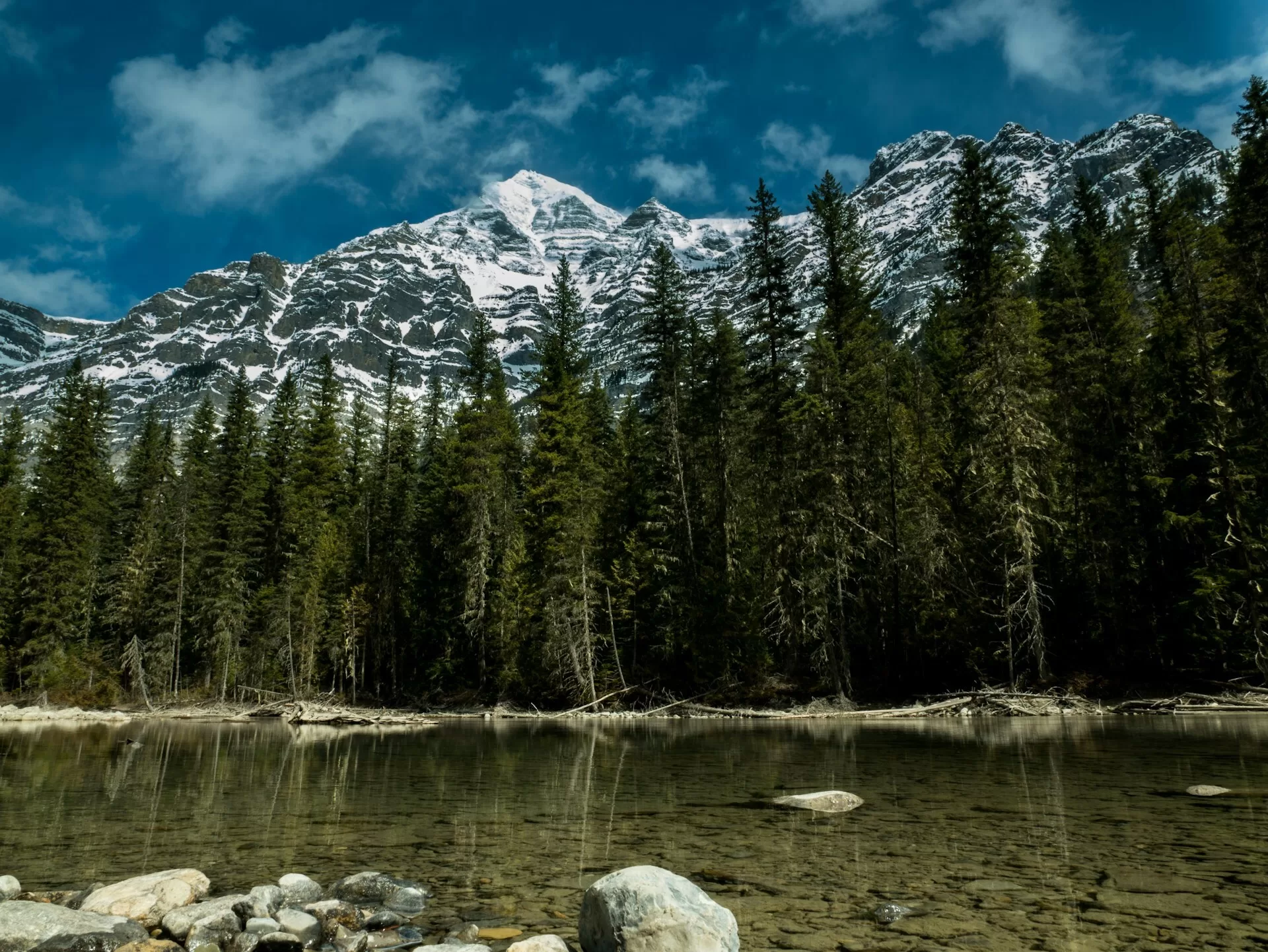 Dennenbomen voor een besneeuwde Mount Robson in British Columbia