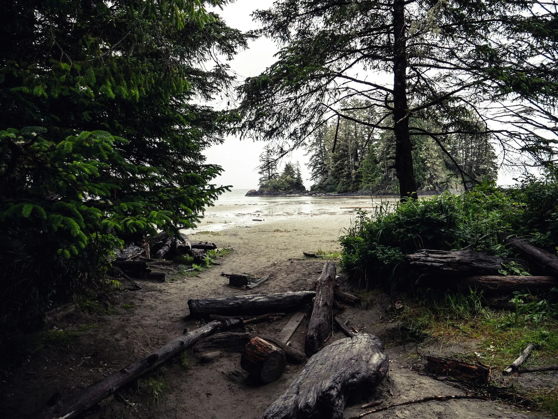 Het strand van Tofino in British Columbia