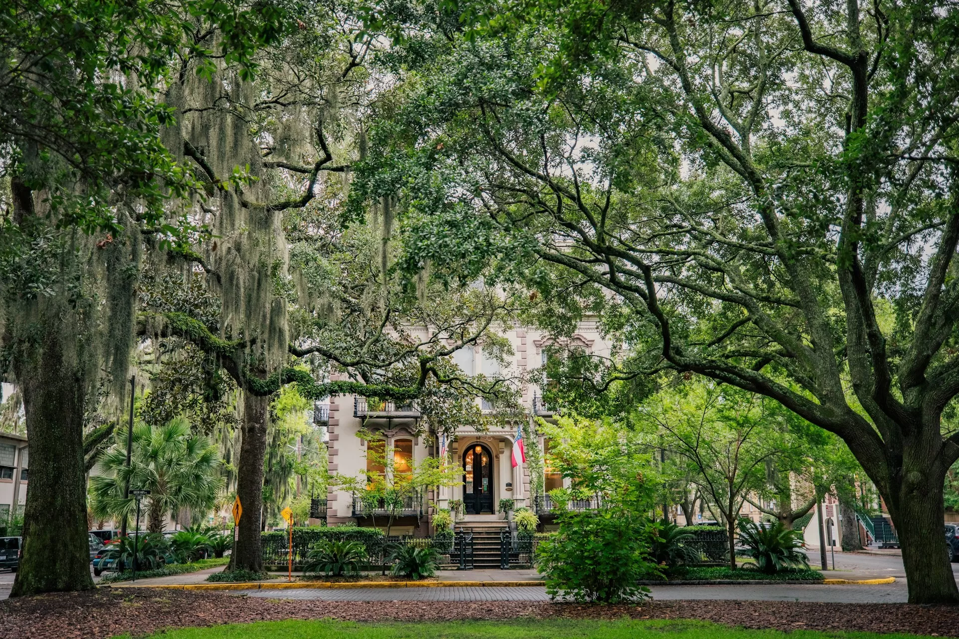 Bomen met Spaanse Mos in het historische centrum van Savannah in Georgia