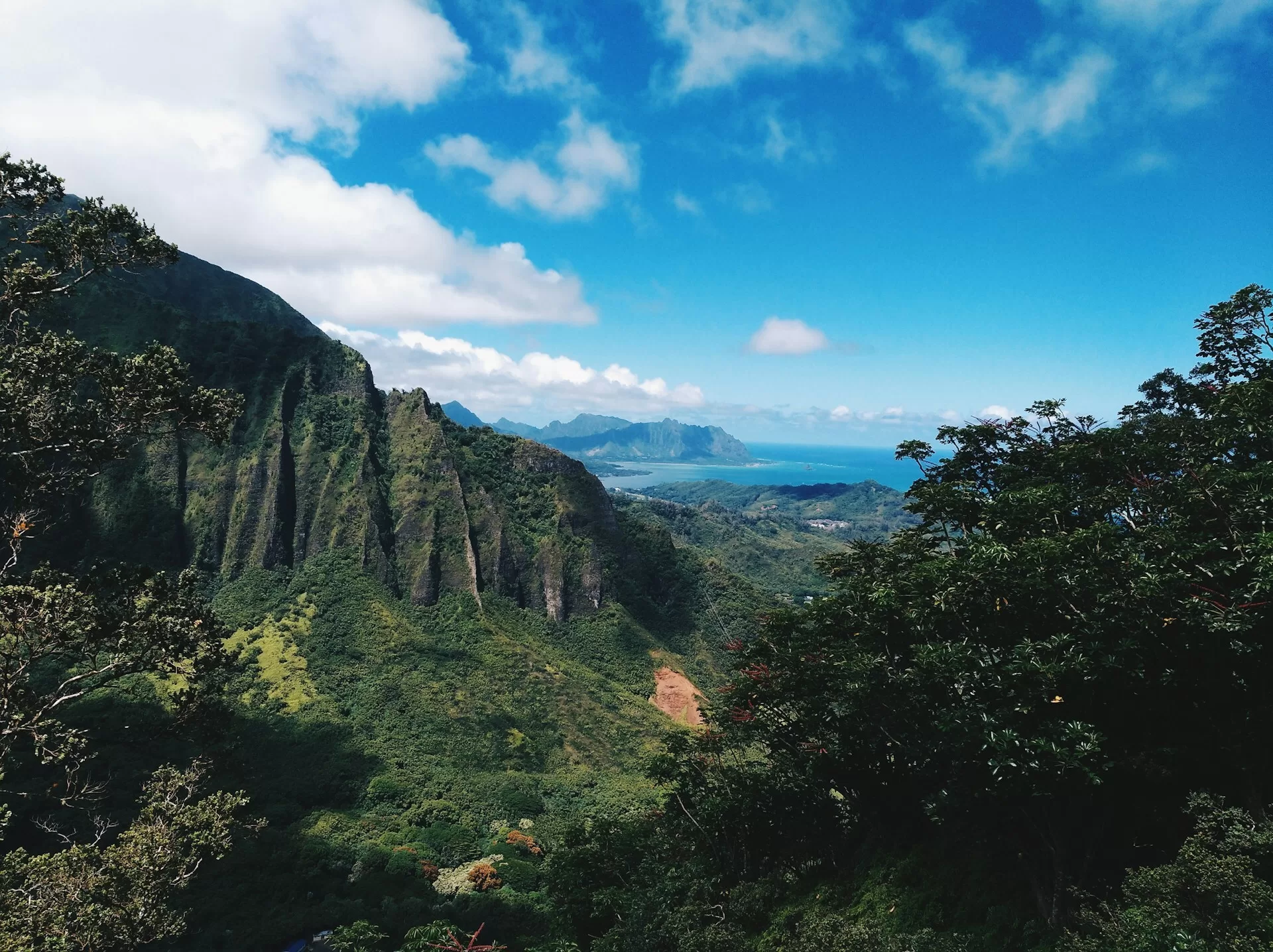 Luchtfoto van groen landschap met rotsen en oceaan in de verte, Hawaii