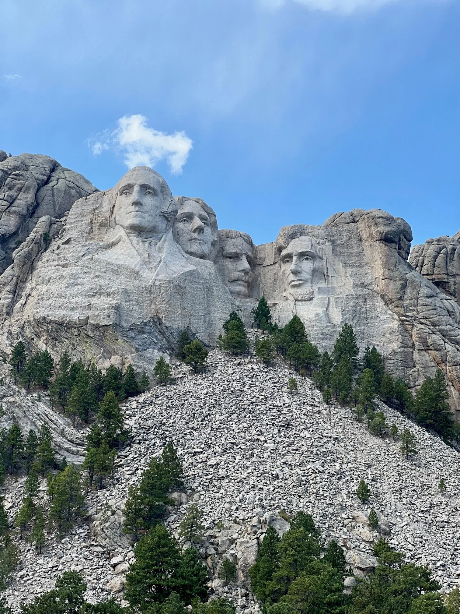 De presidenten in steen gegrafeerd in Mount Rushmore