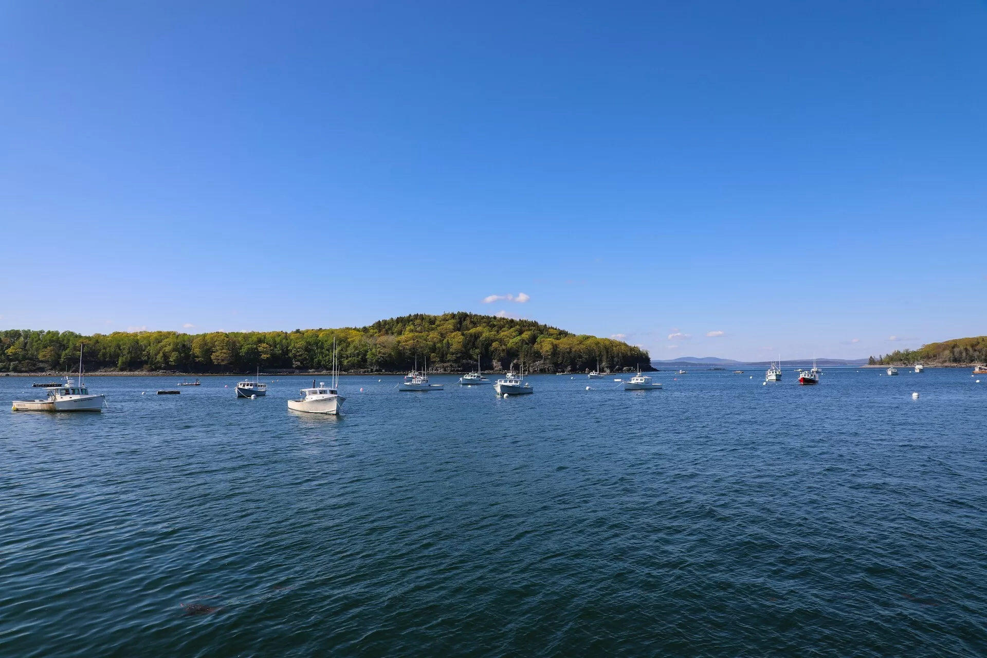 Bootjes in Bar Harbor in de staat Maine, New England
