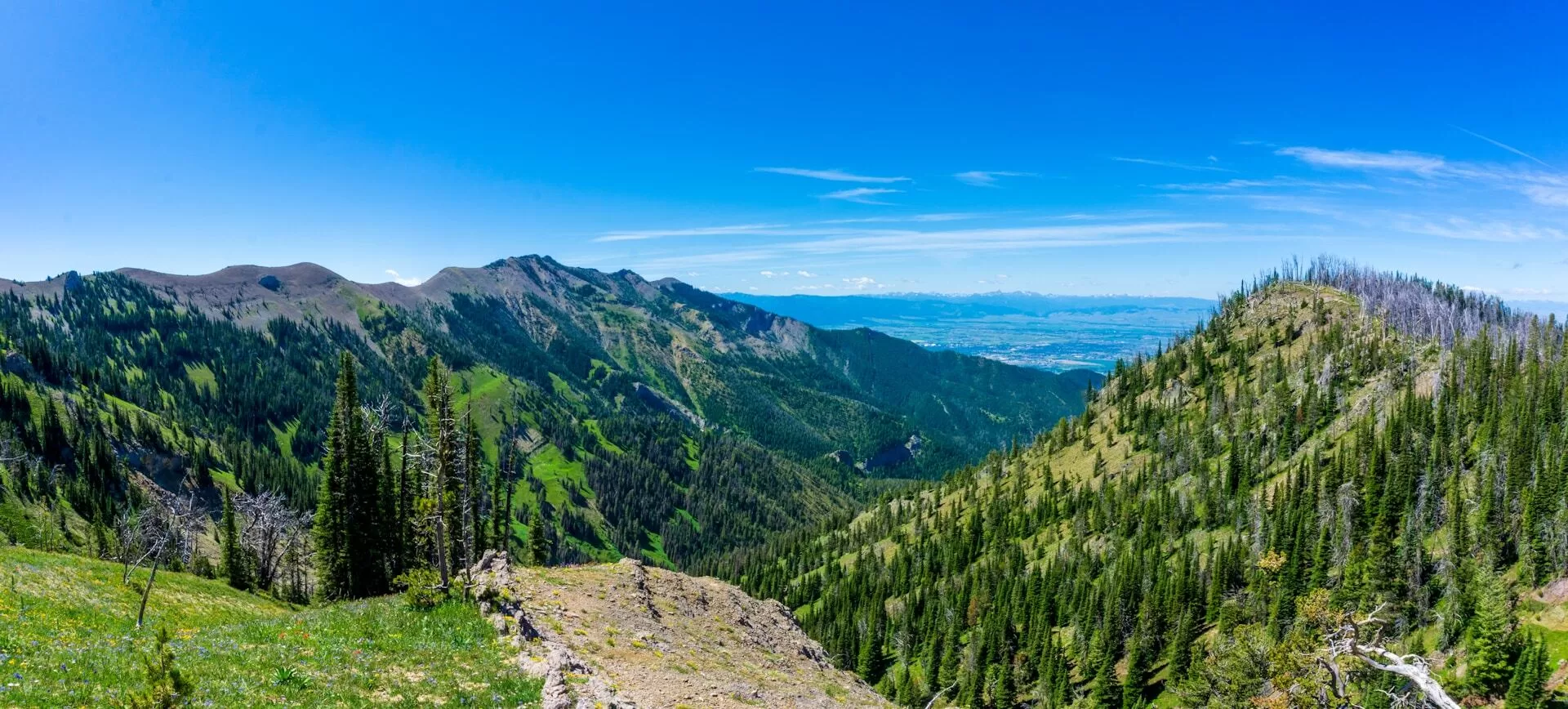 Uitzicht over de natuur in Bozeman vanaf een berg