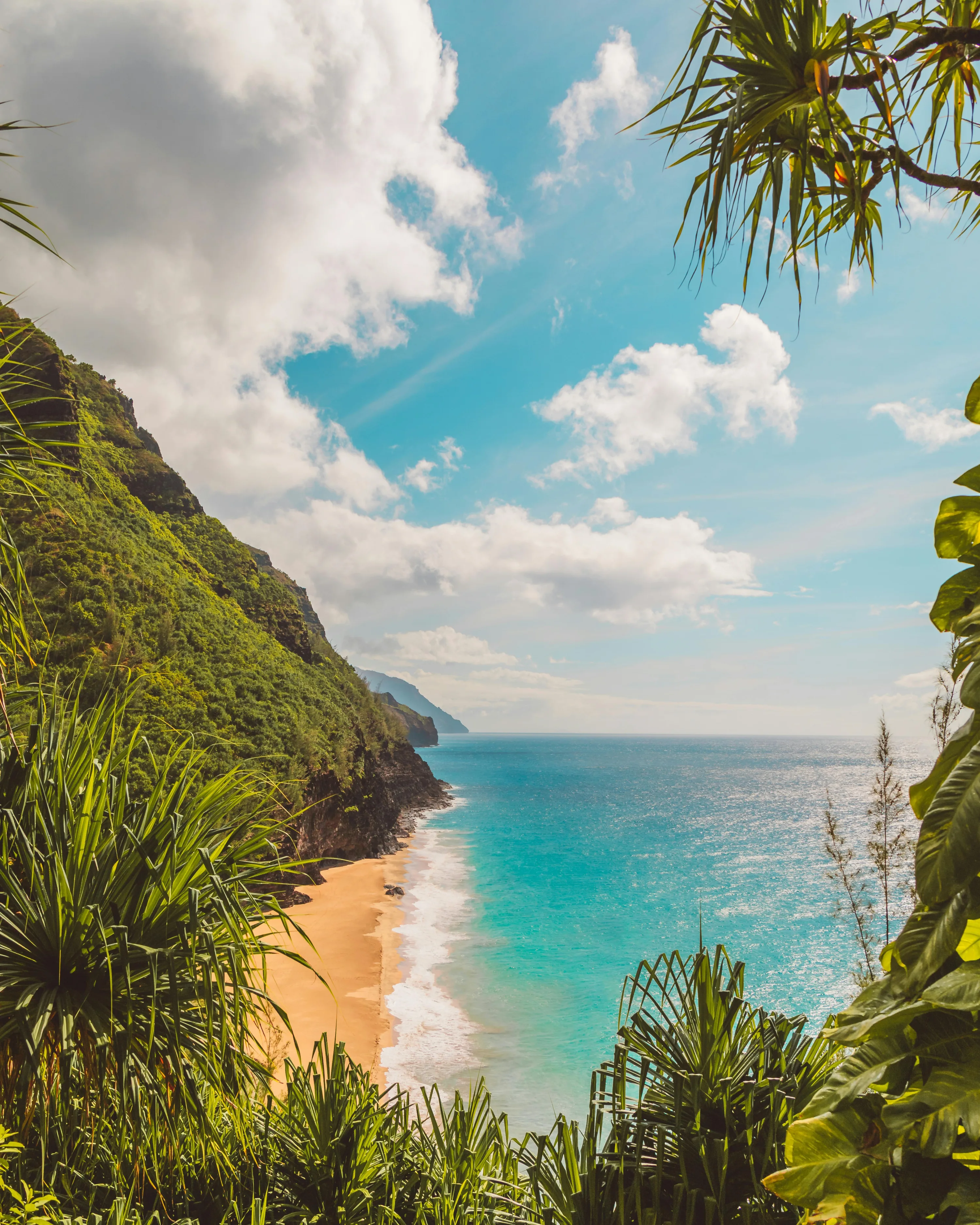 Groene kustlijn van Hawaii met turquoise zee en een verlaten strand