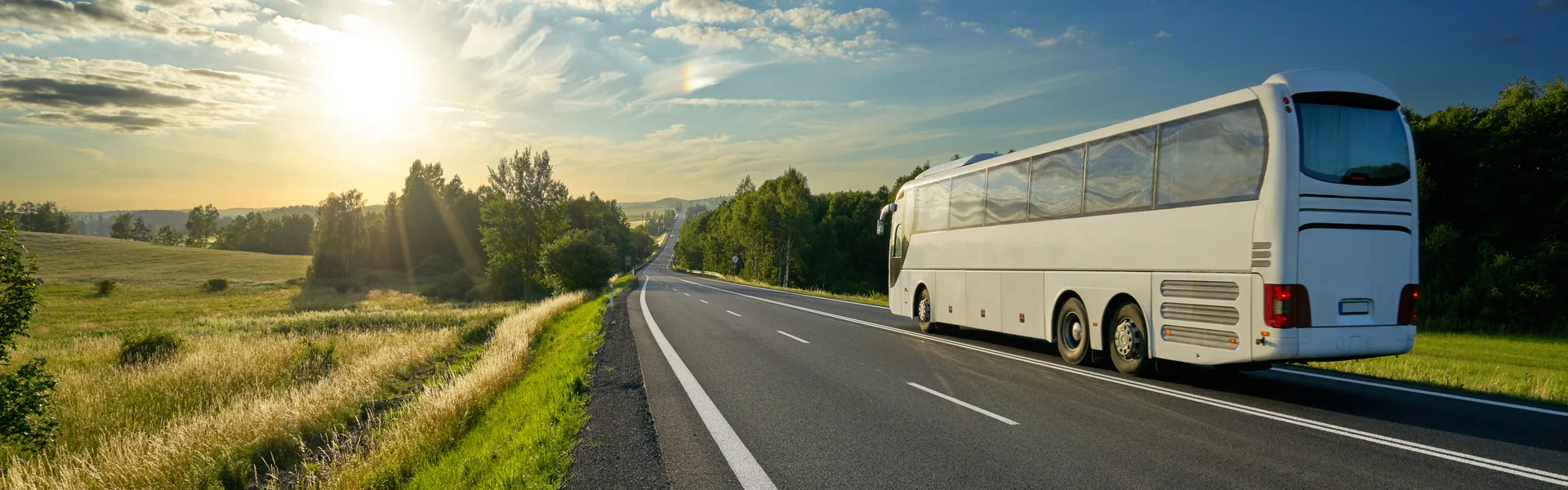Een touringcar rijdend door het groene landschap