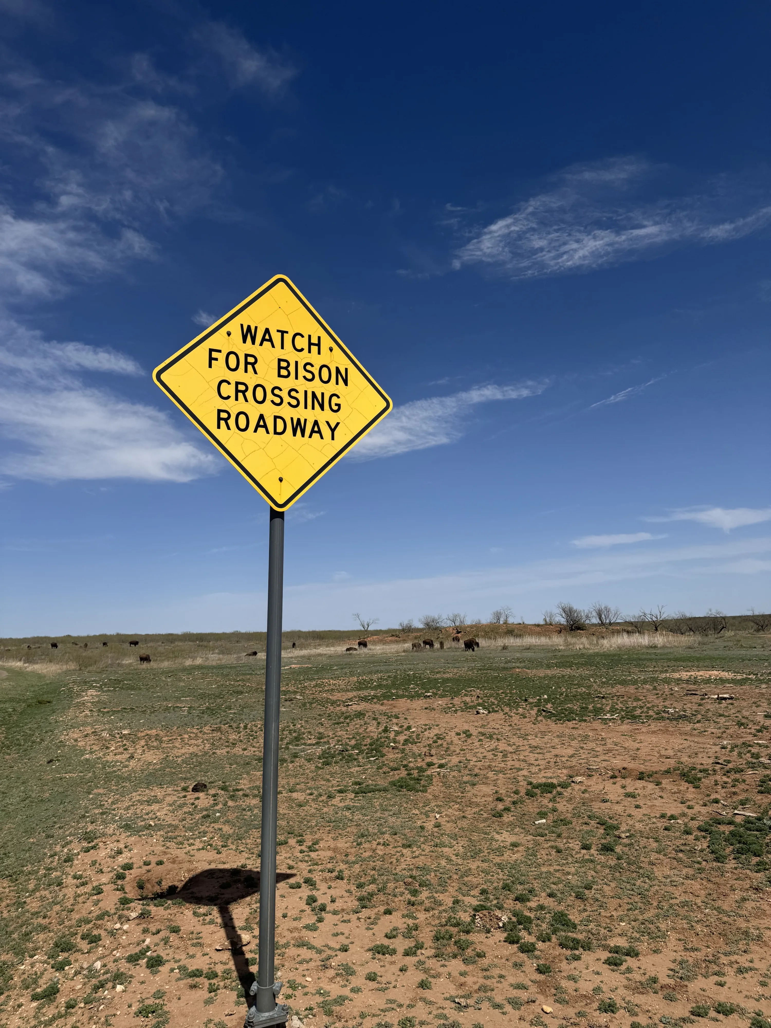 Een waarschuwingsbord over bizons in Caprock Canyon State Park in Lubbock, Texas