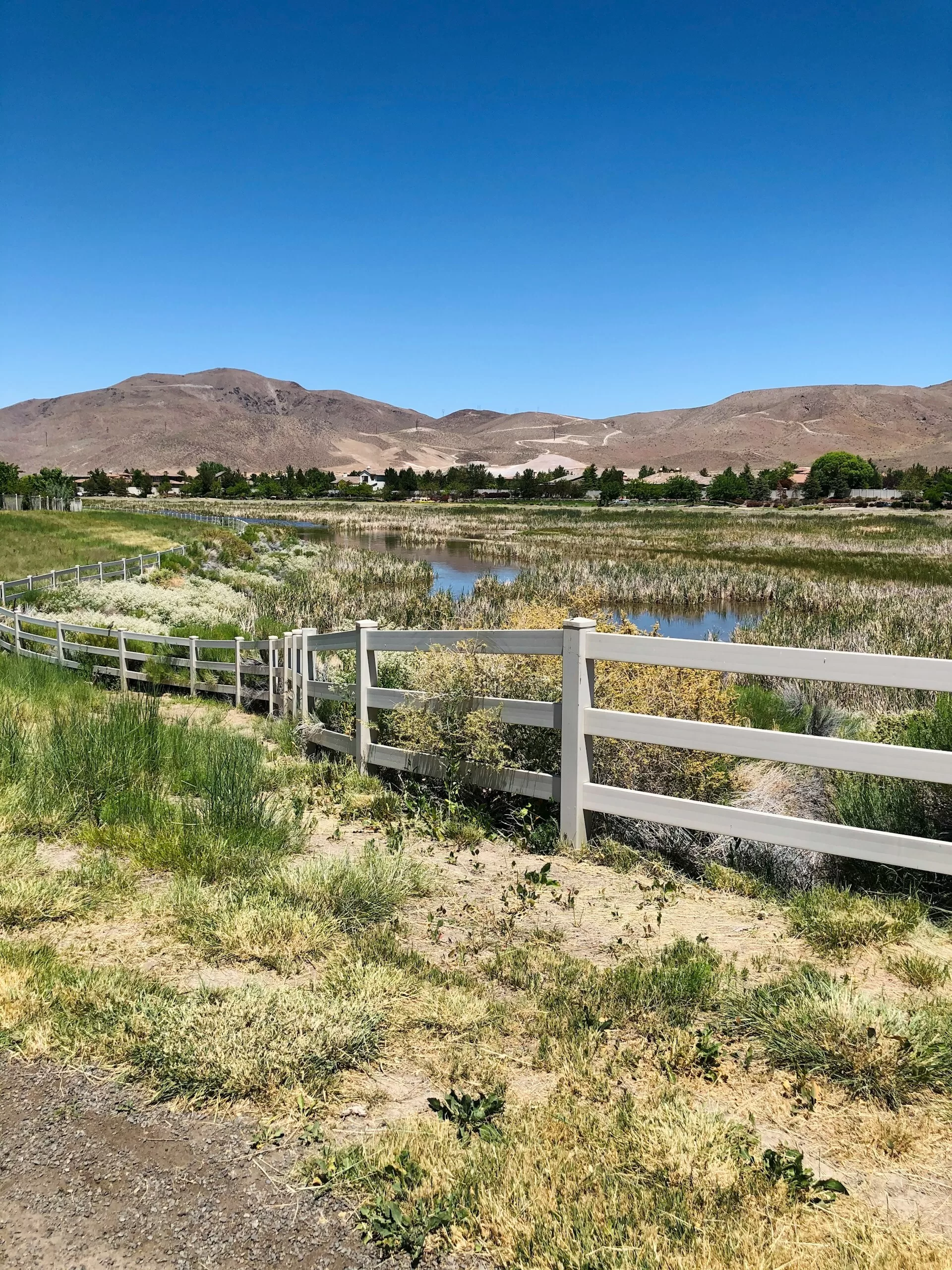 Een weide met bergen op de achtergrond in Reno, Nevada