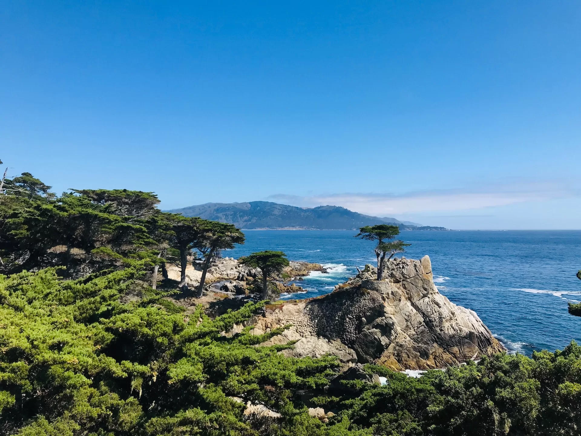 Rotsen met bomen aan het strand van Pebble Beach in Monterey, Californië