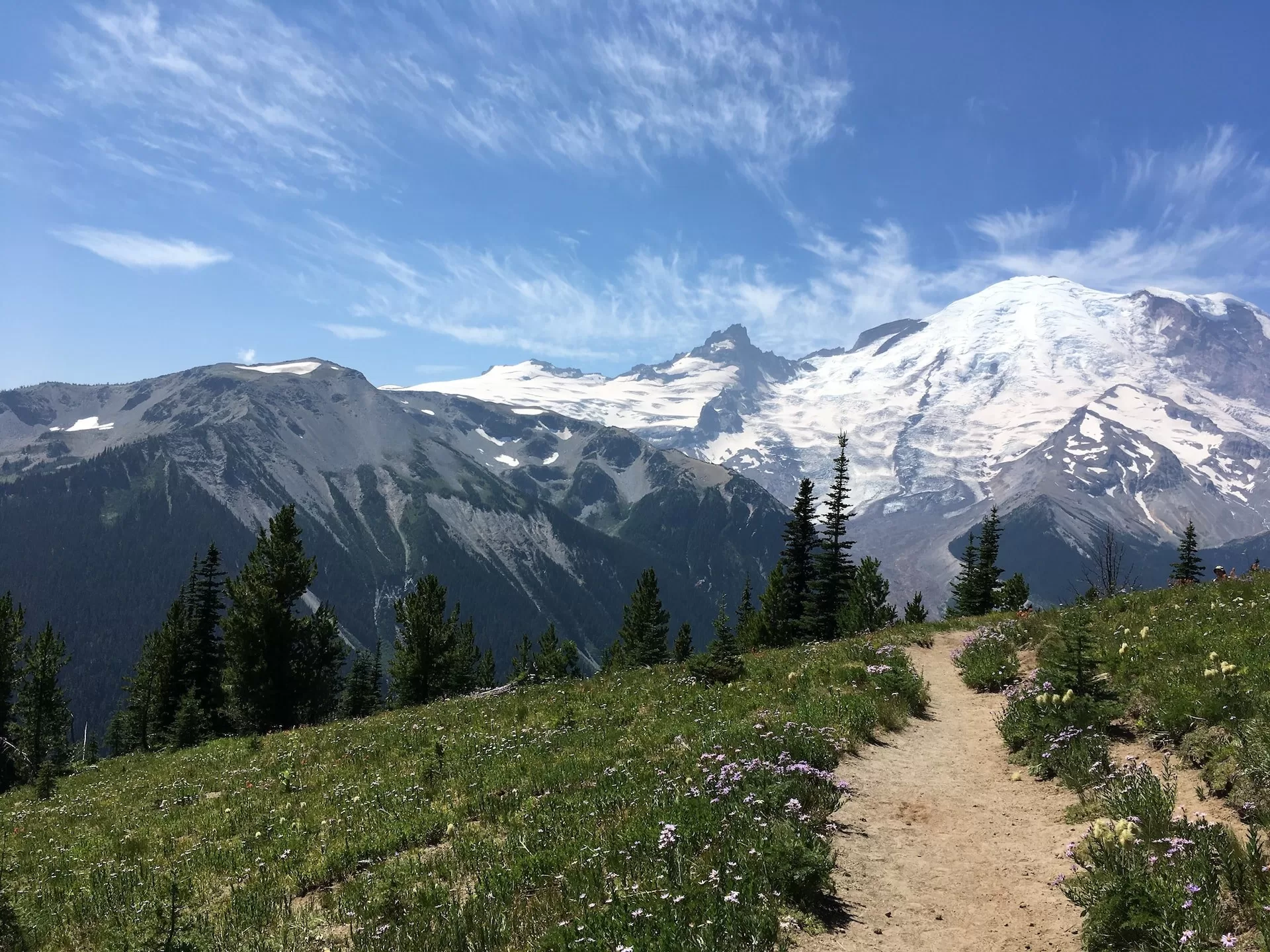 Uitzicht op een van de wandelroutes rond Mount Rainier in de staat Washington