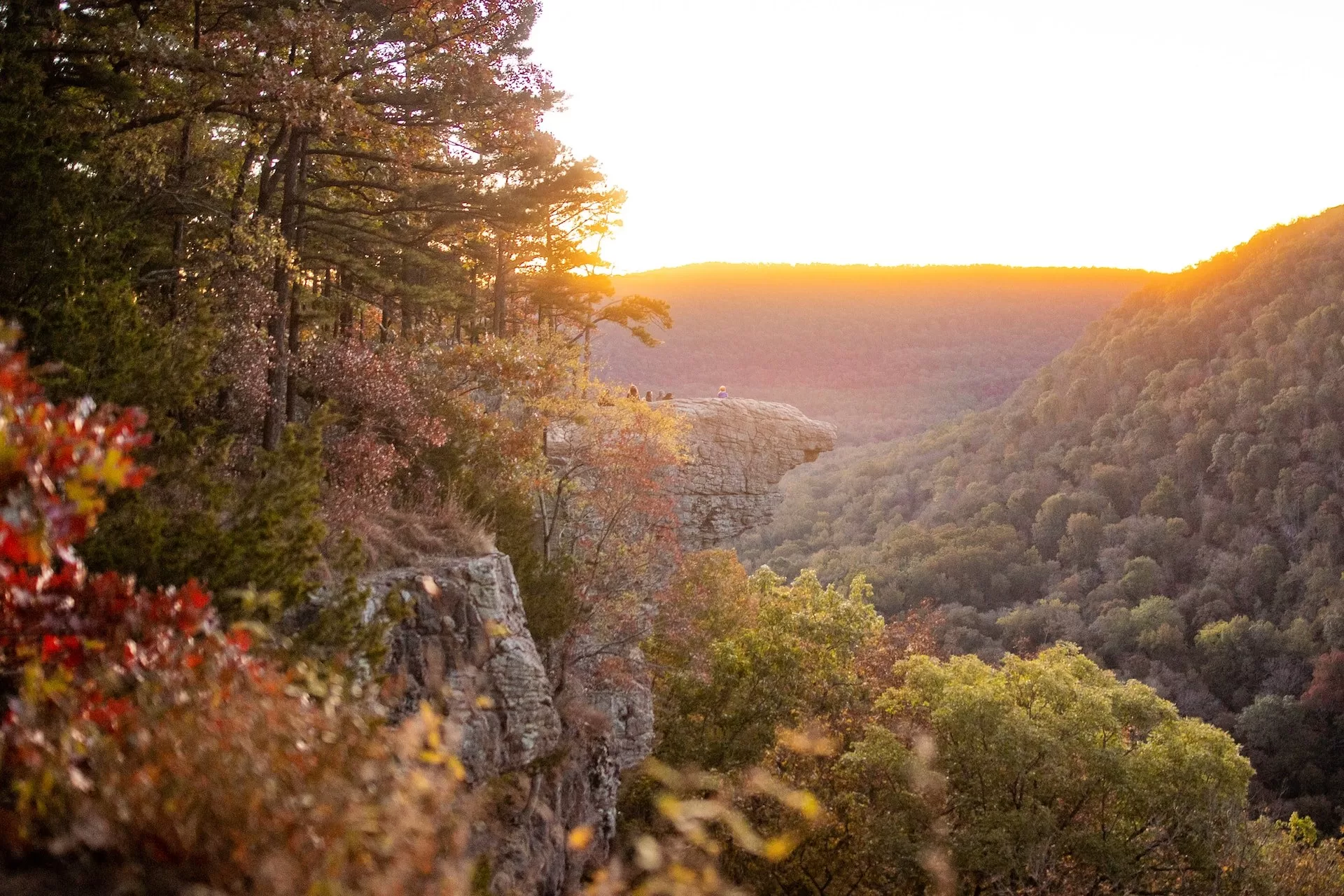 Hawksbill Crag Whitaker uitzicht punt in Arkansas tijdens een zonsopkomst