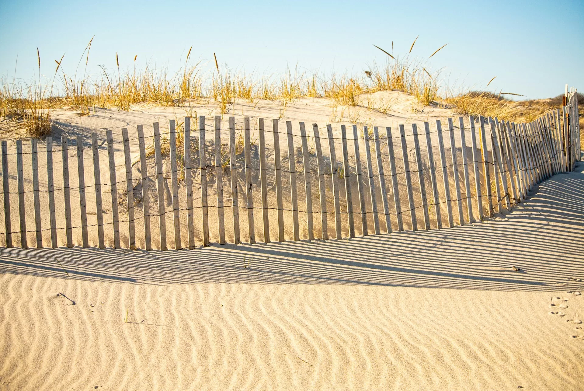 Duinen op het strand in de Hamptons, New York State