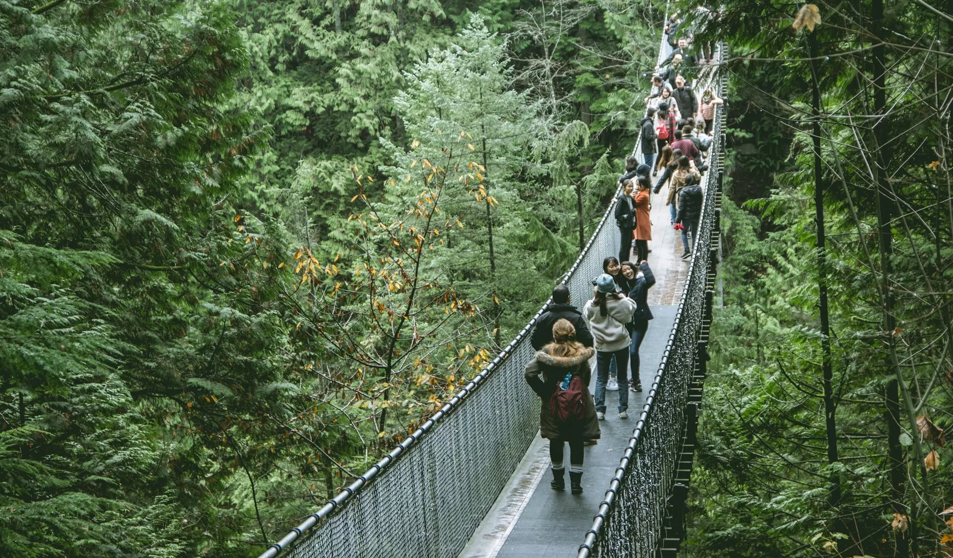 Mensen wandelen over de Capilano Suspension Bridge in Capilano Suspension Bridge Park, Vancouver