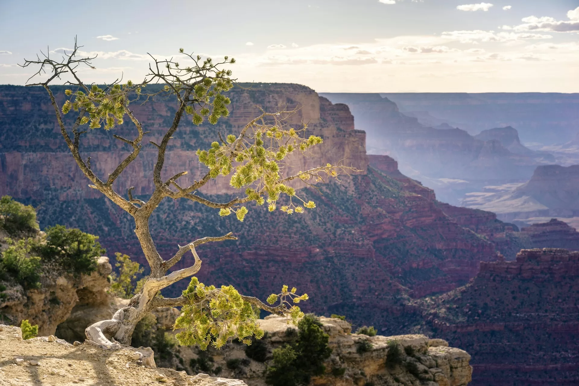 Grand Canyon in Arizona, indrukwekkende diepe kloven en adembenemend landschap