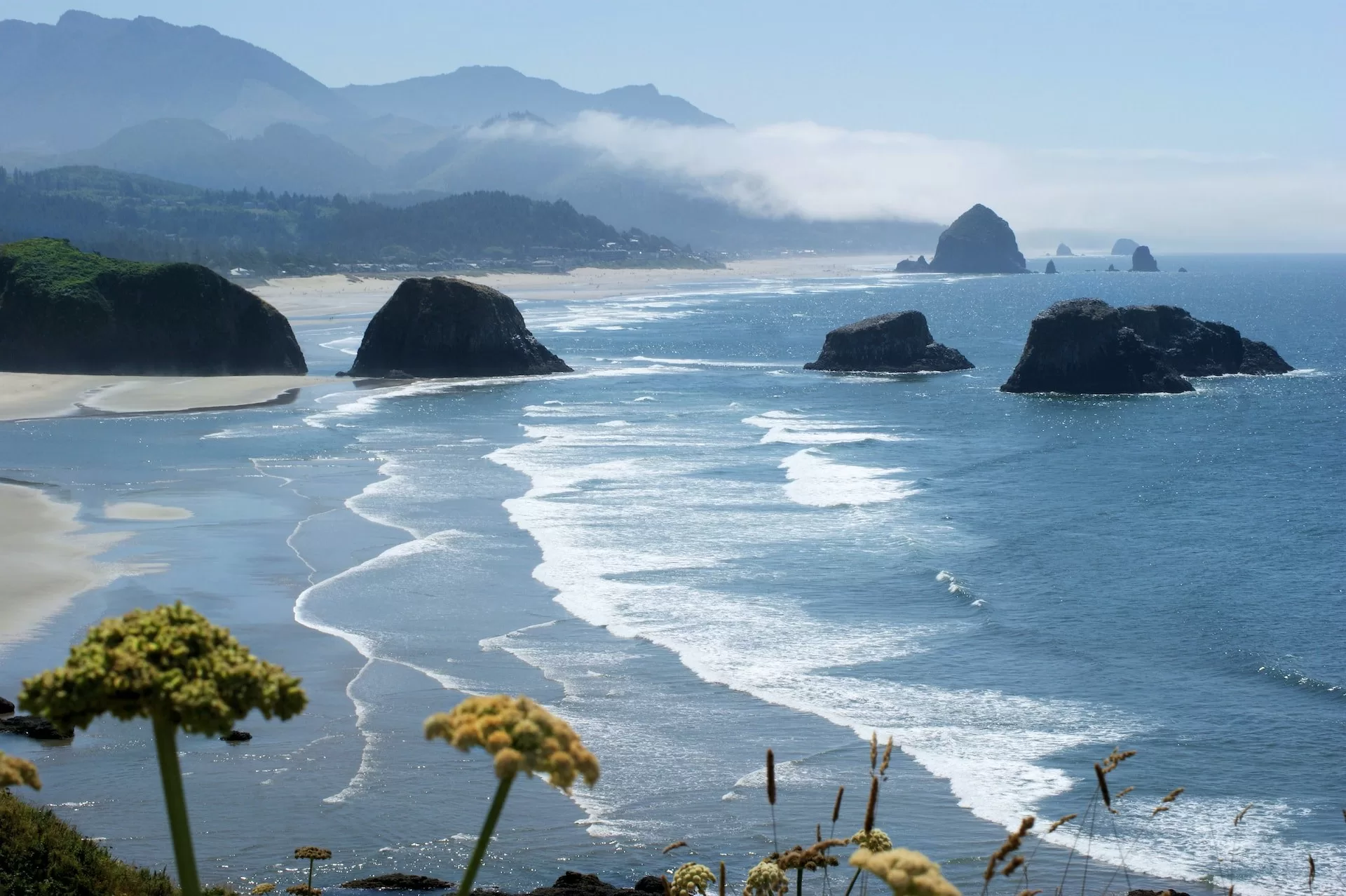 De kust van Cannon Beach met de kenmerkende grote rotsen in Oregon