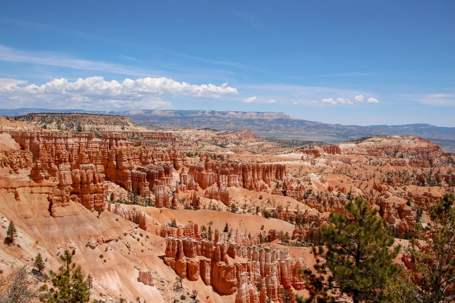 Uitzicht over de rode Hoodoos van Bryce Canyon