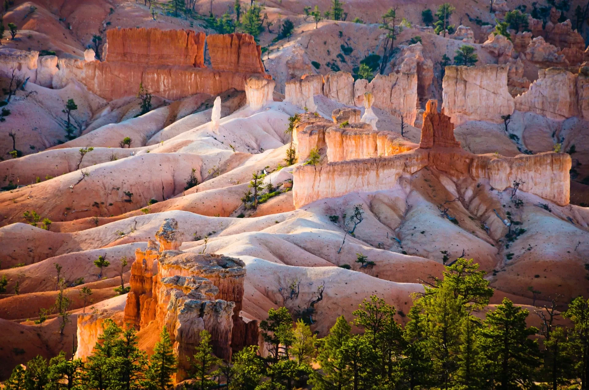 Golvende gesteentes en pilaren in Bryce Canyon National Park