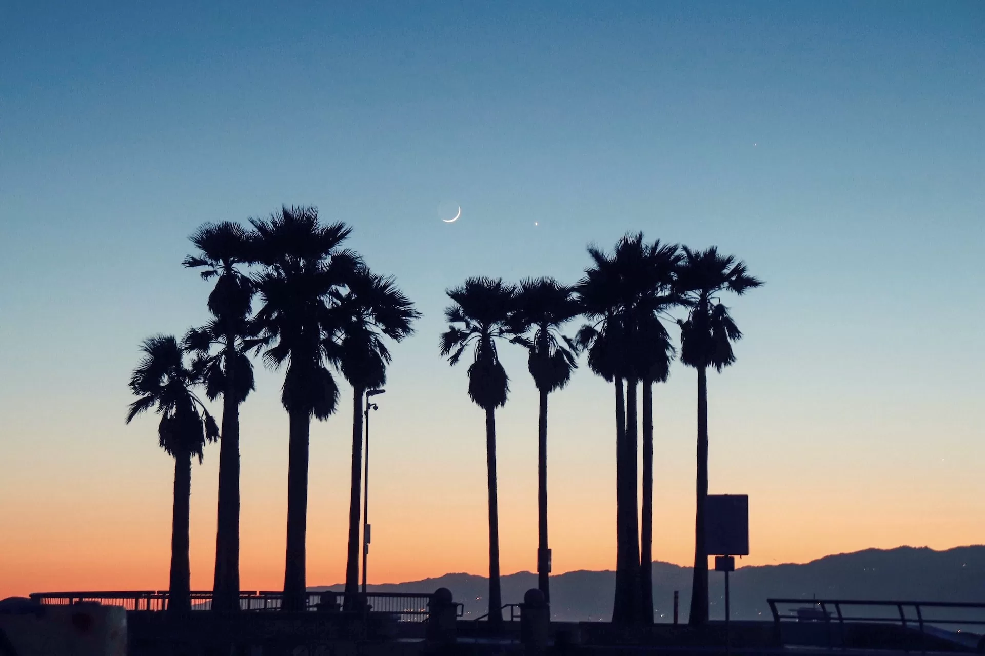 Palmbomen op Venice Beach in Los Angeles tijdens zonsondergang