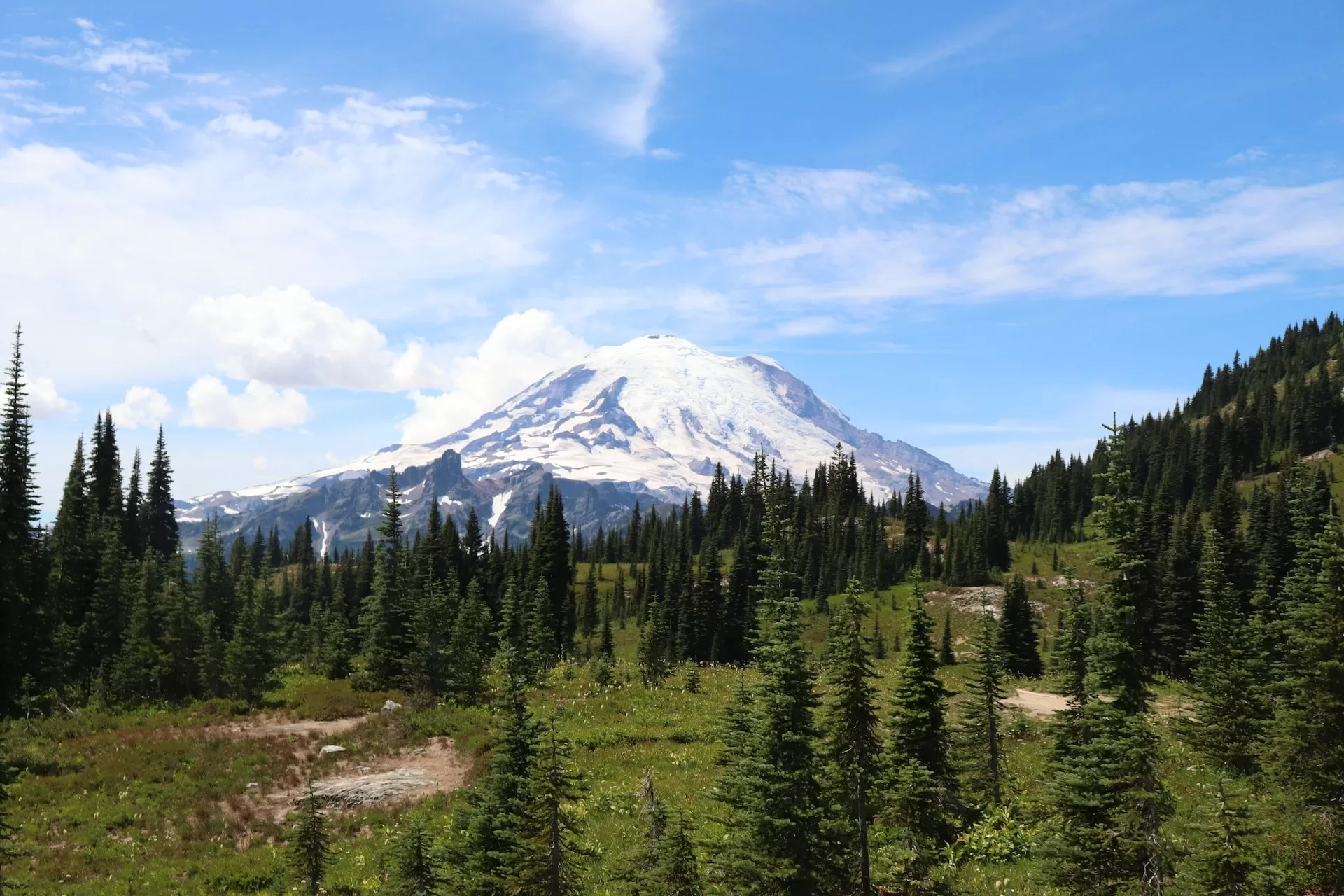 Mount Rainier nabij Seattle met de eeuwig besneeuwde top