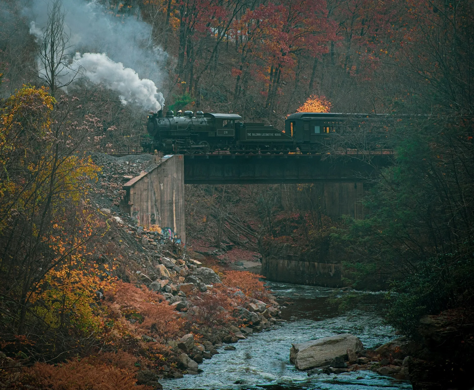 Een trein door het bos in Scranton, Pennsylvania