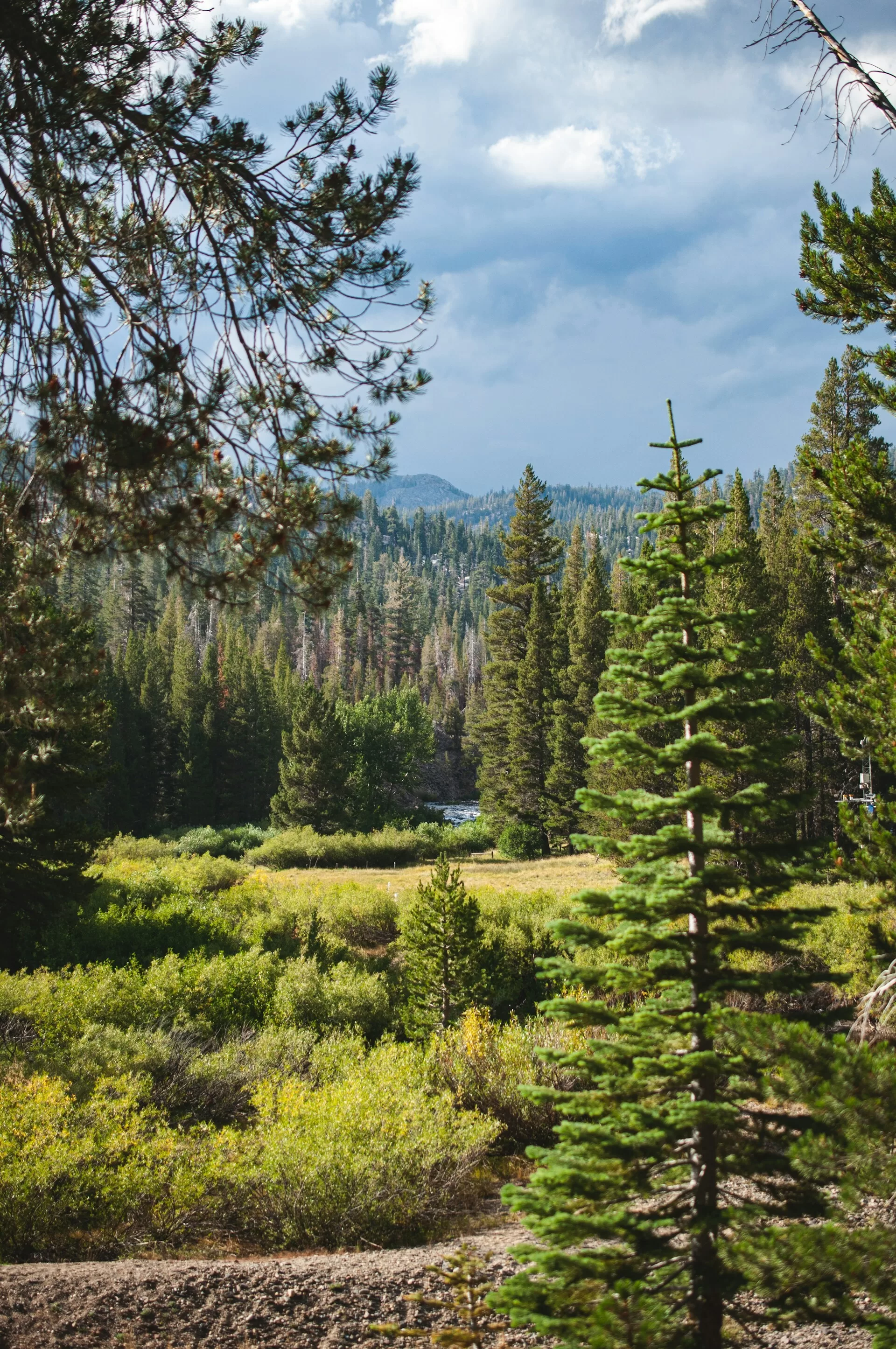 Devils Postpile National Monument in Mammoth Lakes