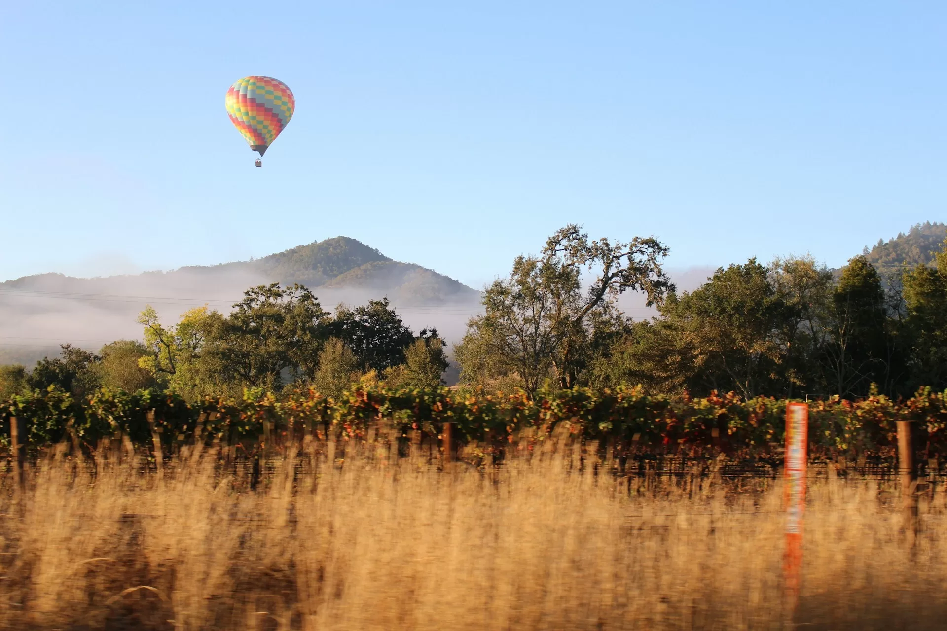 Een luchtballon boven een wijngaarde in Napa Valley