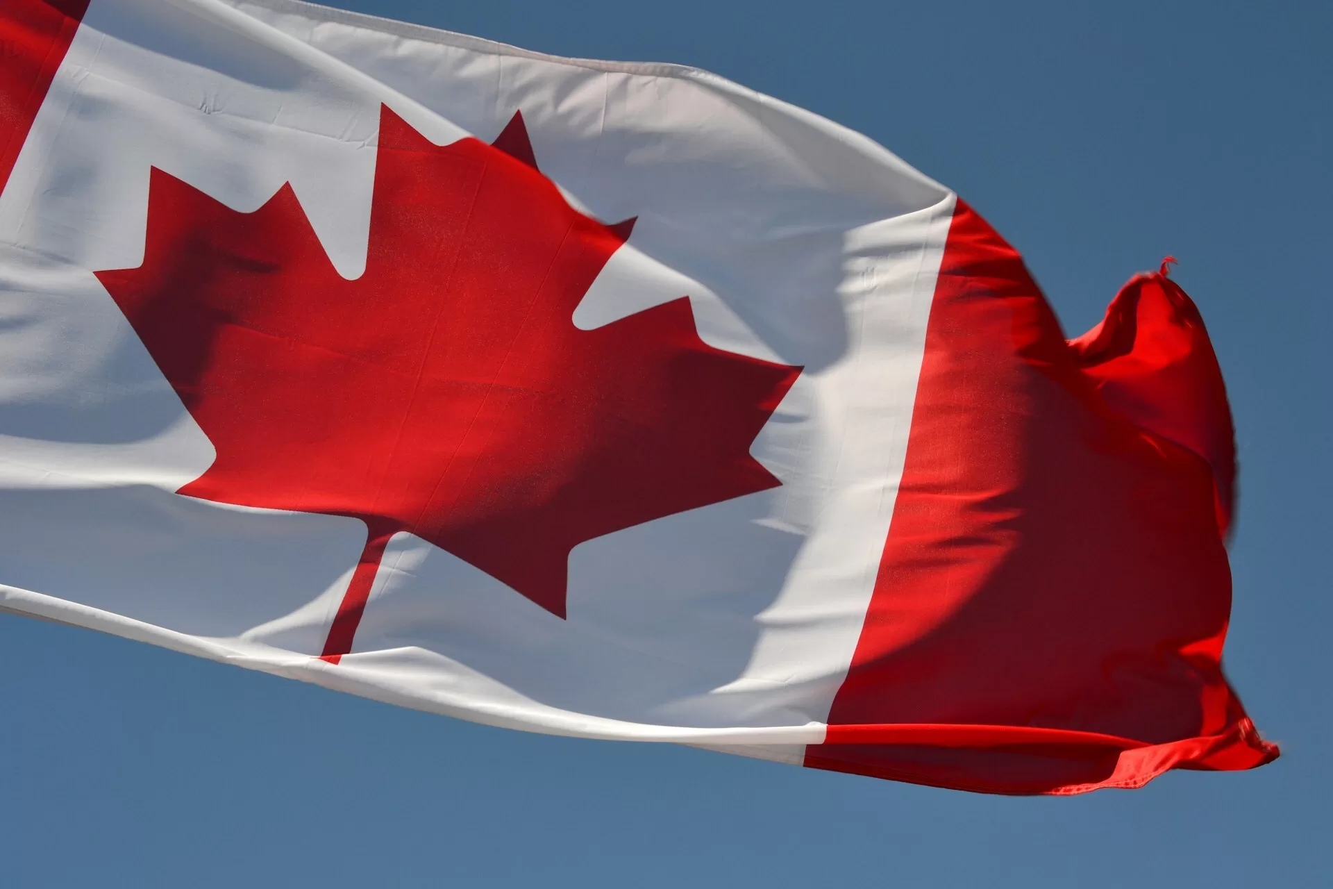 De vlag van Canada wapperend in de wind, met het iconische rode esdoornblad in het midden
