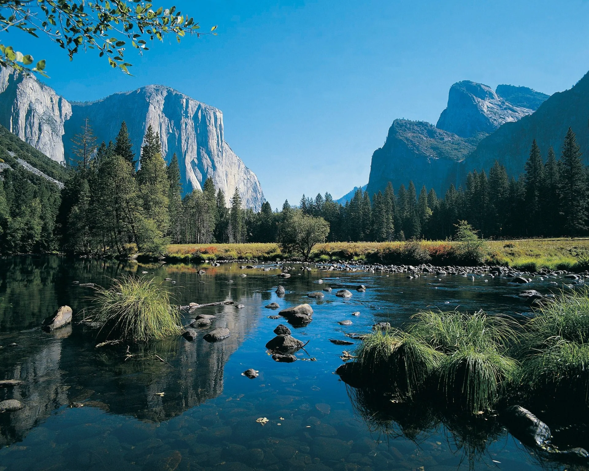 Een meertje tussen de bomen met bergen op de achtergrond in Yosemite National Park