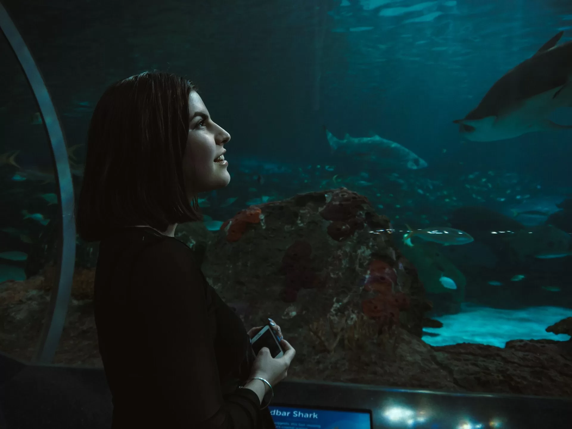 Vrouw kijkt naar vissen in een aquarium, kijkend naar het onderwaterleven