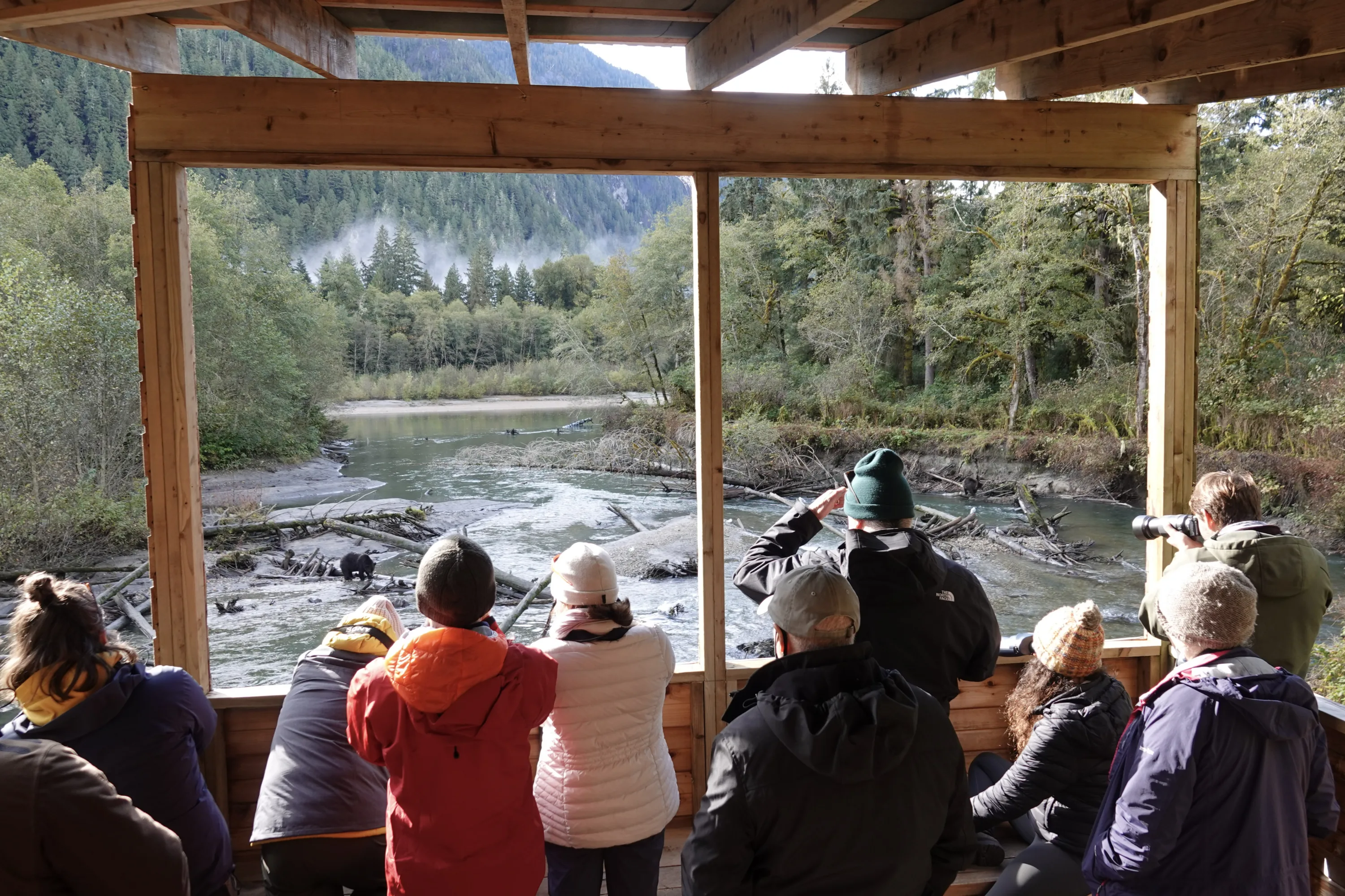 Een groep mensen spot beren vanaf een platform op Toba Inlet Canada