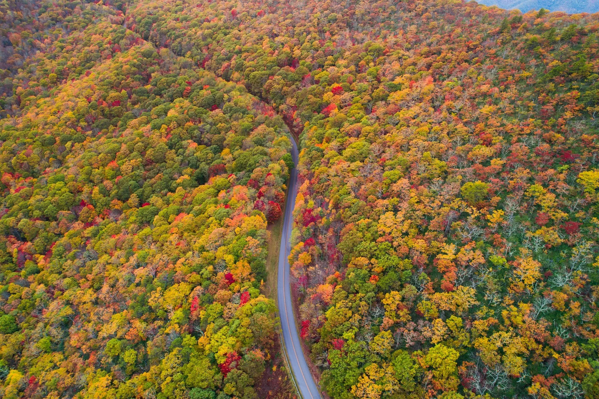 Uitzicht over de gekleurde bomen van Asheville