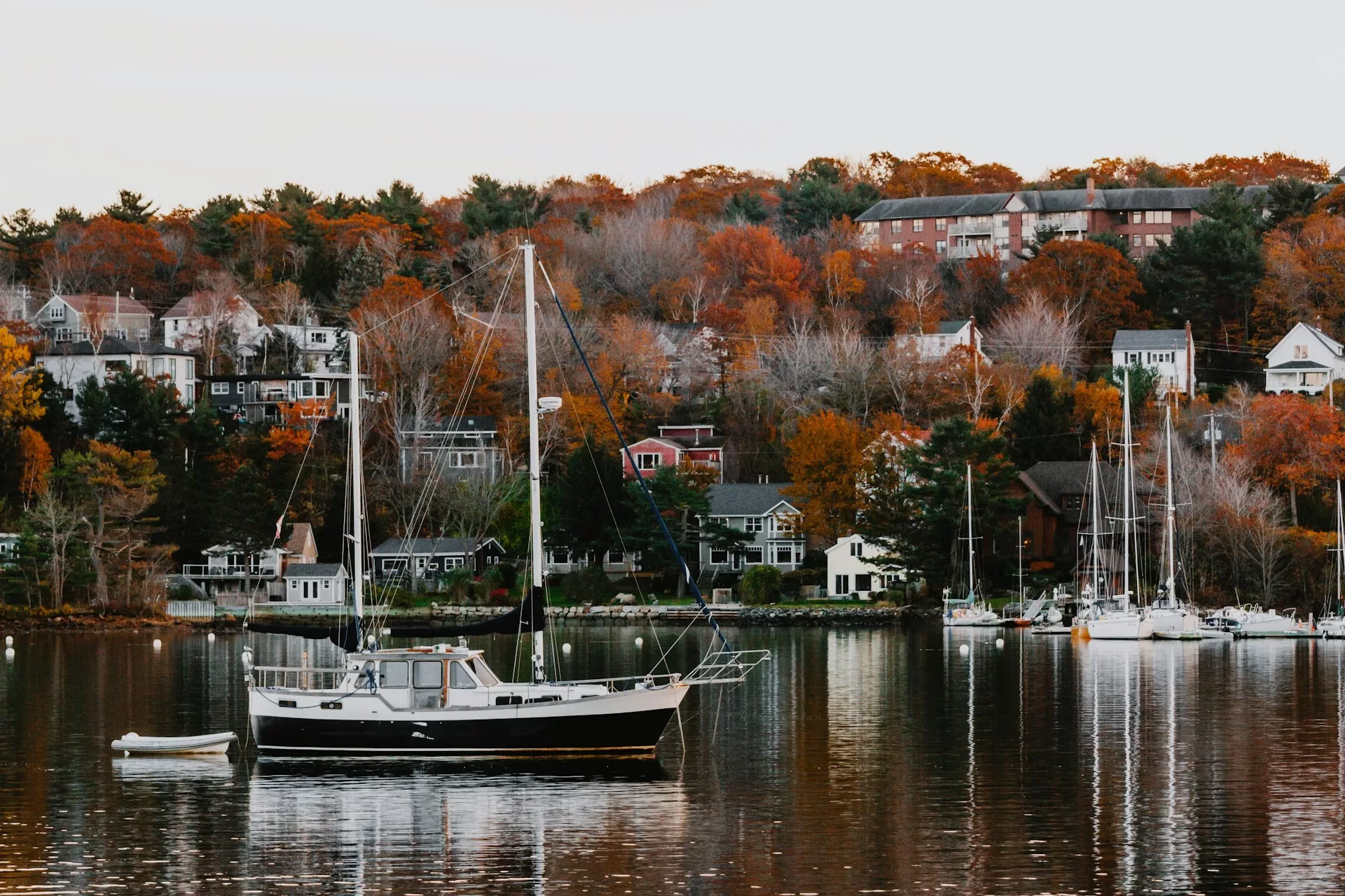 Een zeilboot op het water in Halifax met huizen op de achtergrond