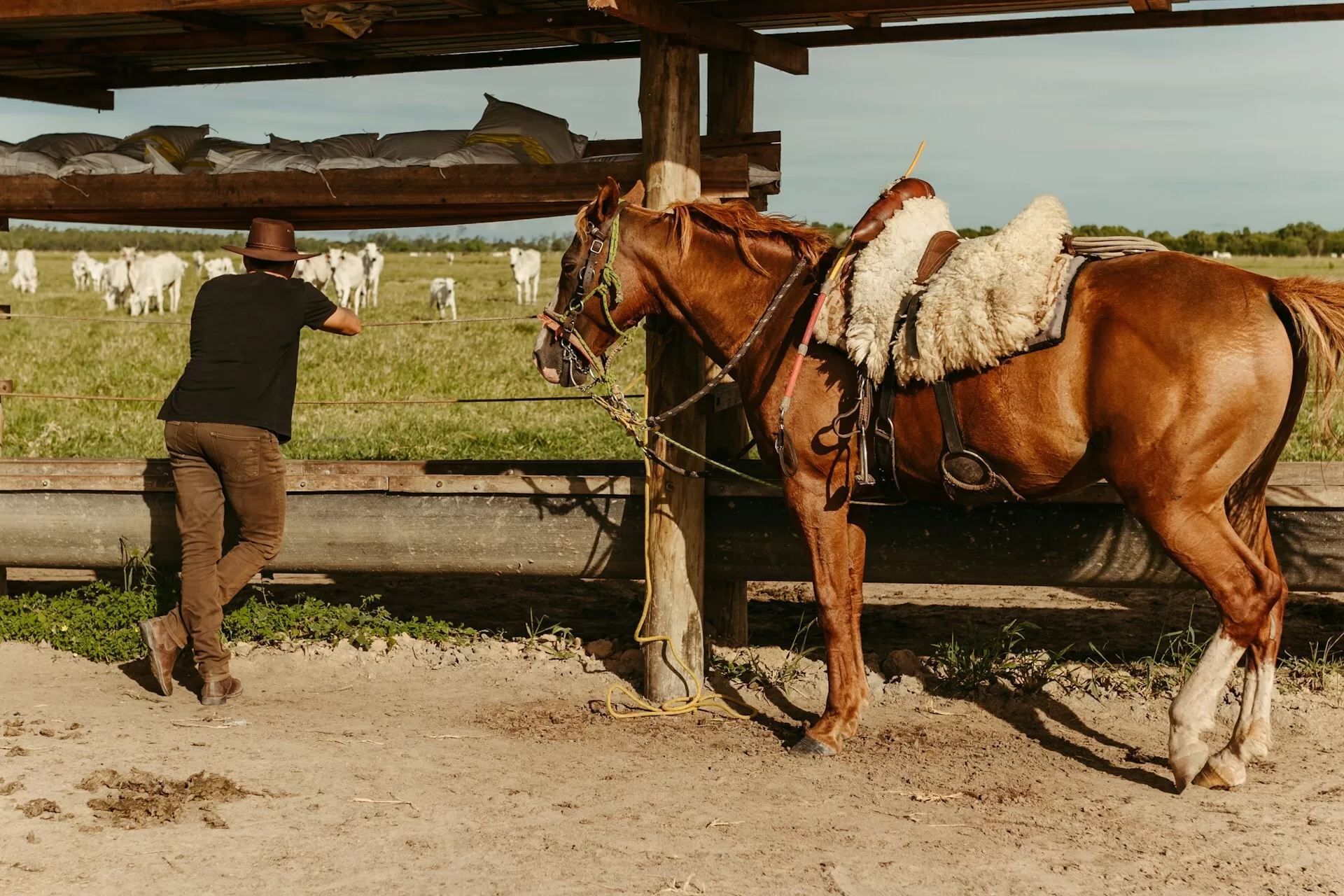 Man met zijn paard in Cody, Wyoming