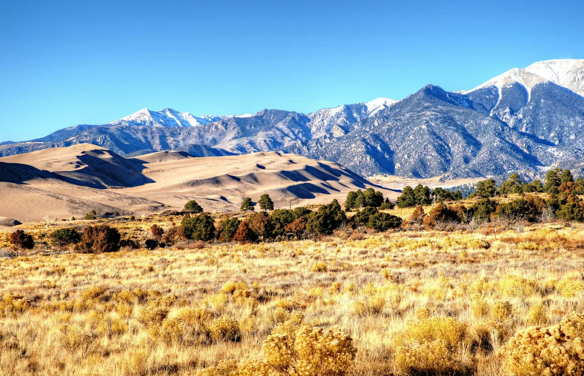 Great Sand Dunes National Park in Alamosa, Colorado