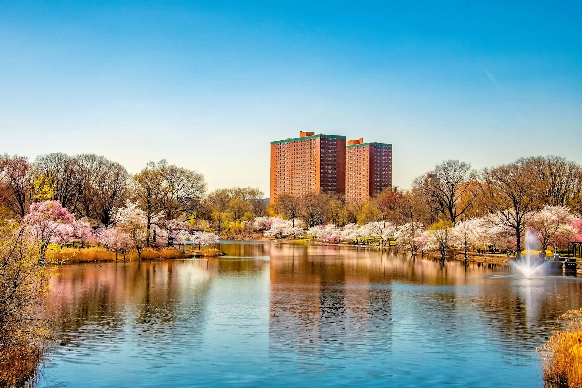 Gekleurde bomen langs een meer in Newark, New Jersey